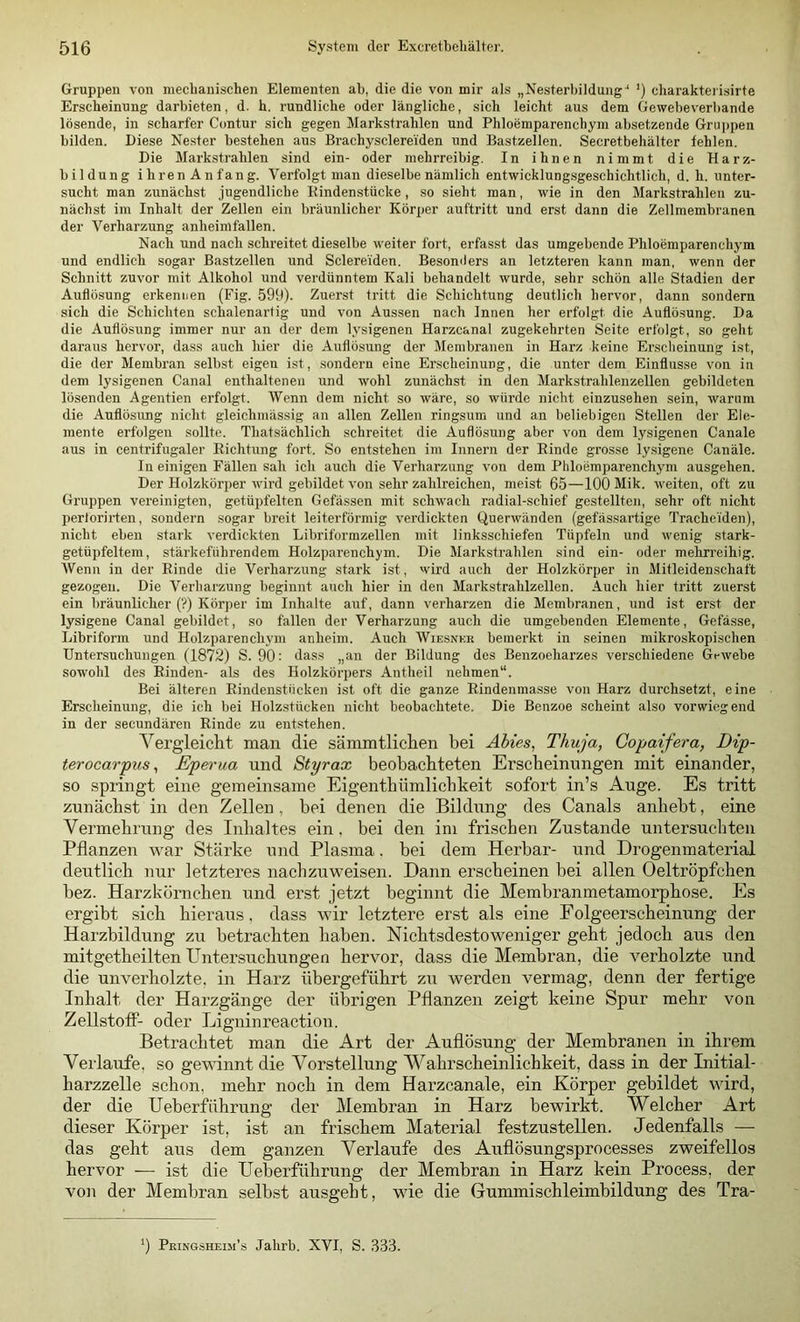 Gruppen von mechanischen Elementen ab, die die von mir als „Nesterbildung “ ') charaktei islrte Erscheinung darbieten, d. h. rundliche oder längliche, sich leicht aus dem Gewebeverl)ande lösende, in scharfer Contur sich gegen Markstrahlen und Phloemparenchym absetzende Gru])pen bilden. Diese Nester bestehen aus Brachysclereiden und Bastzellen. Secretbehälter fehlen. Die Markstrahlen sind ein- oder mehrreihig. In ihnen nimmt die Harz- bildung ihren Anfang. Verfolgt man dieselbe nämlich entwicklungsgeschichtlich, d. h. unter- sucht man zunächst jugendliche Rindenstücke, so sieht man, wie in den Markstrahlen zu- nächst im Inhalt der Zellen ein bräunlicher Körper auftritt und erst dann die Zellmembranen der Verharzung anheimfallen. Nach und nach schreitet dieselbe weiter fort, erfasst das umgebende Phloemparenchym und endlich sogar Bastzellen und Sclereiden. Besomiers an letzteren kann man, wenn der Schnitt zuvor mit Alkohol und verdünntem Kali behandelt wurde, sehr schön alle Stadien der Auflösung erkennen (Fig. 59t)). Zuerst tritt die Schichtung deutlich hervor, dann sondern sich die Schichten schalenartig und von Aussen nach Innen her erfolgt die Auflösung. Da die Auflösung immer nur an der dem lysigenen Harzcanal zugekehrten Seite erfolgt, so geht daraus hervor, dass auch hier die Auflösung der Membranen in Harz keine Erscheinung ist, die der Membran selbst eigen ist, sondern eine Er.scheinung, die unter dem Einflüsse von in dem lysigenen Canal enthaltenen und wohl zunächst in den Markstrahleuzellen gebildeten lösenden Agentien erfolgt. Wenn dem nicht so wäre, so würde nicht einzusehen sein, warum die Auflösung nicht gleichmässig an allen Zellen ringsum und an beliebigen Stellen der Ele- mente erfolgen sollte. Thatsächlich schreitet die Auflösung aber von dem lysigenen Canale aus in centrifugaler Richtung fort. So entstehen im Innern der Rinde grosse lysigene Canäle. In einigen Fällen sah ich auch die Verharzung von dem Phloemparenchym ausgehen. Der Holzkörper wird gebildet von sehr zahlreichen, meist 65—100 Mik. weiten, oft zu Gruppen vereinigten, getüpfelten Gefässen mit schwach radial-schief gestellten, sehr oft nicht pertorirten, sondern sogar breit leiterförmig verdickten Querwänden (gefässartige Tracheiden), nicht eben stark verdickten Libriförmzellen mit linksschiefen Tüpfeln und wenig stark- getüpfeltem, stärkeführendem Holzparenchym. Die Markstrahlen sind ein- oder mehrreihig. Wenn in der Rinde die Verharzung stark ist, wird auch der Holzkörper in Mitleidenschaft gezogen. Die Verharzung beginnt auch hier in den Markstrahlzellen. Auch hier tritt zuerst ein bräunlicher (?) Körper im Inhalte auf, dann verharzen die Membranen, und ist erst der lysigene Canal gebildet, so fallen der Verharzung auch die umgebenden Elemente, Gefässe, Libriform und Holzparenchym anheim. Auch Wiesnkr bemerkt in seinen mikroskopischen Untersuchungen (1872) S. 90: dass „an der Bildung des Benzoeharzes verschiedene Grwebe sowohl des Rinden- als des Holzkörpers Antheil nehmen“. Bei älteren Rindenstücken ist oft die ganze Rindenmasse von Harz durchsetzt, eine Erscheinung, die ich bei Holzstücken nicht beobachtete. Die Benzoe scheint also vorwiegend in der secundären Rinde zu entstehen. Vergleicht man die sämmtlichen bei Äbies, Thuja, Gopaifera, Dip- terocarpus, Eperua und Styrax beobachteten Erscheinungen mit einander, so springt eine gemeinsame Eigenthümlichkeit sofort in’s Auge. Es tritt zunächst in den Zellen, bei denen die Bildung des Canals anheht, eine Vermehrung des Inhaltes ein, bei den im frischen Zustande untersuchten Pflanzen war Stärke und Plasma. bei dem Herbar- und Drogenmaterial deutlich nur letzteres nach zu weisen. Dann erscheinen bei allen Oeltröpfchen bez. Harzkörnchen und erst jetzt beginnt die Membranmetamorphose, Es ergibt sich hieraus, dass wir letztere erst als eine Folgeerscheimxng der Harzbildung zu betrachten haben. Nichtsdestoweniger geht jedoch aus den mitgetheilten Untersuchungen hervor, dass die Membran, die verholzte und die unverholzte, in Harz übergeführt zu werden vermag, denn der fertige Inhalt der Harzgänge der übrigen Pflanzen zeigt keine Spur mehr von Zellstoff- oder Ligninreaction. Betrachtet man die Art der Auflösung der Membranen in ihrem Verlaufe, so gewinnt die Vorstellung Wahrscheinlichkeit, dass in der Initial- harzzelle schon, mehr noch in dem Harzcanale, ein Körper gebildet wird, der die Ueberfilhrung der Membran in Harz bewirkt. Welcher Art dieser Körper ist, ist an frischem Material festzustellen. Jedenfalls — das geht aus dem ganzen Verlaufe des Auflösungsprocesses zweifellos hervor — ist die Ueberführung der Membran in Harz kein Process, der von der Membran selb.st ausgeht, wie die Gummischleimbildung des Tra- ‘) Pkingsheim’s Jalirb. XVI, S. 333.