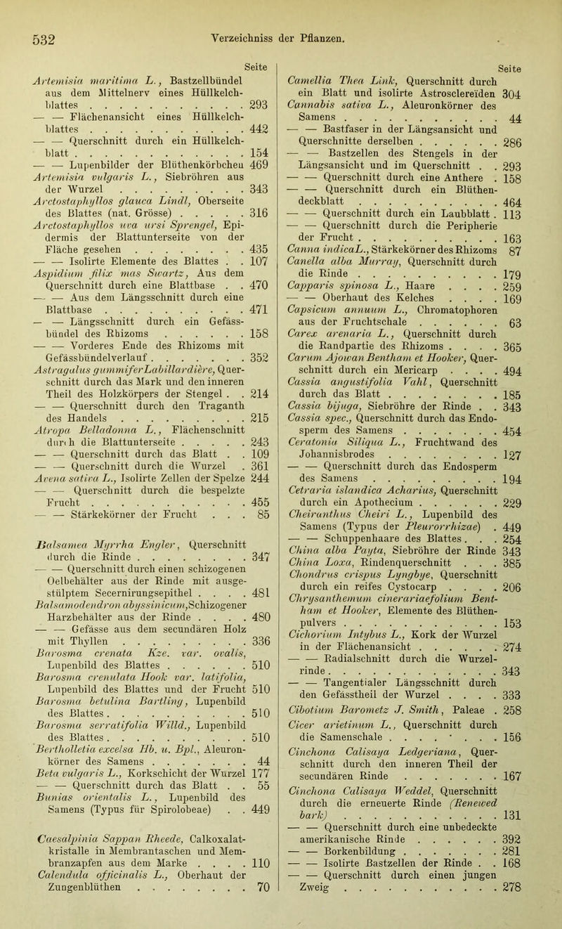 Seite Arteuiisia maritima L., Bastzellbündel aus dem 51 ittelnerv eines Hüllkelch- blattes 293 — — Flächenansicht eines Hüllkelch- blattes 442 — — Querschnitt durch ein Hüllkelch- blatt 154 — — Lupenbilder der Blüthenkörbcheu 469 Artemisia vulgaris L., Siebröhren aus der Wurzel 343 Arctostaphgllos glauca Lindl, Oberseite des Blattes (nat. Grösse) 316 Arctostaphgllos uca ursi Sprengel, Epi- dermis der Blattunterseite von der Fläche gesehen 435 — — Isolirte Elemente des Blattes . . 107 Aspidium filix mas Swartz, Aus dem Querschnitt durch eine Blattbase . . 470 — — Aus dem Längsschnitt durch eiue Blattbase 471 — — Längsschnitt durch ein Gefäss- bündel des Ebizoms 158 — — Vorderes Ende des Ehizoms mit Gefässbündelverlauf 352 Astragalus gummiferhahillardiere, Quer- schnitt durch das 5Iark und den inneren Theil des Holzkörpers der Stengel . . 214 — — Querschnitt durch den Traganth des Handels 215 Atropa Belladonna L., Flächenschnitt diin h die Blattunterseite 243 — — Querschnitt durch das Blatt . . 109 — — Quer.schnitt durch die Wurzel . 361 Arena satira L., Isolirte Zellen der Spelze 244 — — Querschnitt durch die bespelzte Frucht 455 — — Stärkekörner der Frucht ... 85 llulsamea Mgrrha En gier, Querschnitt durch die Einde 347 Querschnitt durch einen schizogenen Oelbehälter aus der Einde mit ausge- stülptem Secernirungsepithel . . . .481 Balsamodendron abgssinicnm,^(Aä.zog&cier Harzbehälter aus der Einde .... 480 — — Gefässe aus dem secundären Holz mit Thyllen 336 Barosma crenata Kze. var. ovalis, Lupenbild des Blattes 510 Barosma erenulata Hook var. latifolia, Lupenbild des Blattes und der Frucht 510 Barosma hetidina Bartling, Lupenbild des Blattes 510 Barosma serratifoUa Willd., Lupenbild des Blattes 510 Bertholletia excelsa Hb. u. Bpi., Aleuron- körner des Samens 44 Beta vulgaris L., Korkschicht der Wurzel 177 — — Querschnitt durch das Blatt . . 55 Bunias orientalis L., Lupenbild des Samens (Typus für Spirolobeae) . . 449 Caesalpinia Sappan Bheede, Calkoxalat- kristalle in 5iembrantaschen und 5Iem- branzapfen aus dem Marke .... 110 Calendula ofjicinalis L., Oberhaut der Zungenblüthen 70 Seite Camellia Thea Link, Querschnitt durch ein Blatt und isolirte Astrosclereiden 304 Cannabis sativa L., Aleuronkörner des Samens 44 — — Bastfaser in der Längsansicht und Querschnitte derselben 286 •— — Bastzellen des Stengels in der Längsansicht und im Querschnitt . . 293 — — Querschnitt durch eine Anthere . 158 — — Querschnitt durch ein Blüthen- deckblatt 454 — — Querschnitt durch ein Laubblatt . 113 — — Querschnitt durch die Peripherie der Frucht Iß3 Canna indicaL., Stärkekörner des Ehizoms 87 Canella alba Murrag, Querschnitt durch die Einde I79 Capparis spinosa L., Haare .... 259 — — Oberhaut des Kelches .... 169 Capsicum annuum L., Chromatophoren aus der Fi uchtschale 63 Carex arenaria L., Querschnitt durch die Eandpartie des Ehizoms .... 365 Carum Ajoivan Bentham et Hooker, Quer- schnitt durch ein Mericarp .... 494 Cassia angustifolia Vahl, Querschnitt durch das Blatt 185 Cassia bijuga, Siebröhre der Einde . . 343 Cassia spec., Querschnitt durch das Endo- sperm des Samens 454 Ceratonia Siliqua L., Fruchtwand des Johannisbrodes 127 — — Querschnitt durch das Endosperm des Samens I94 Cetraria islandica Acharius, Querschnitt durch ein Apothecium 229 Cheiranthus Cheiri L., Lupenbild des Samens (Typus der Pleurorrhizae) . 449 — — Schuppenhaare des Blattes . . . 254 China alba Fagta, Siebröhre der Einde 343 China Loxa, Eindenquerschnitt . . . 385 Chondrus crispus Lgngbge, Querschnitt durch ein reifes Cystocarp .... 206 Chrgsanthemum cinerariaefolium Bent- ham et Hooker, Elemente des Blüthen- pulvers 153 Cichorium Intgbus L., Kork der Wurzel in der Flächenansicht 274 — — Eadialschnitt durch die Wurzel- rinde 343 — — Tangentialer Längsschnitt durch den Gefässtheil der Wurzel .... 333 Cibotium Barometz J. Smith, Paleae . 258 Cicer arietinum L., Querschnitt durch die Samenschale ........ 156 Cinchona Calisaga Ledgeriana, Quer- schnitt durch den inneren Theil der secundären Einde 167 Cinchona Calisaga Weddel, Querschnitt durch die erneuerte Einde (Renewed bark) 131 — — Querschnitt durch eine unbedeckte amerikanische Einde 392 — — Borkenbildung 281 Isolirte Bastzellen der Einde . .168 — — Querschnitt durch einen jungen Zweig 278