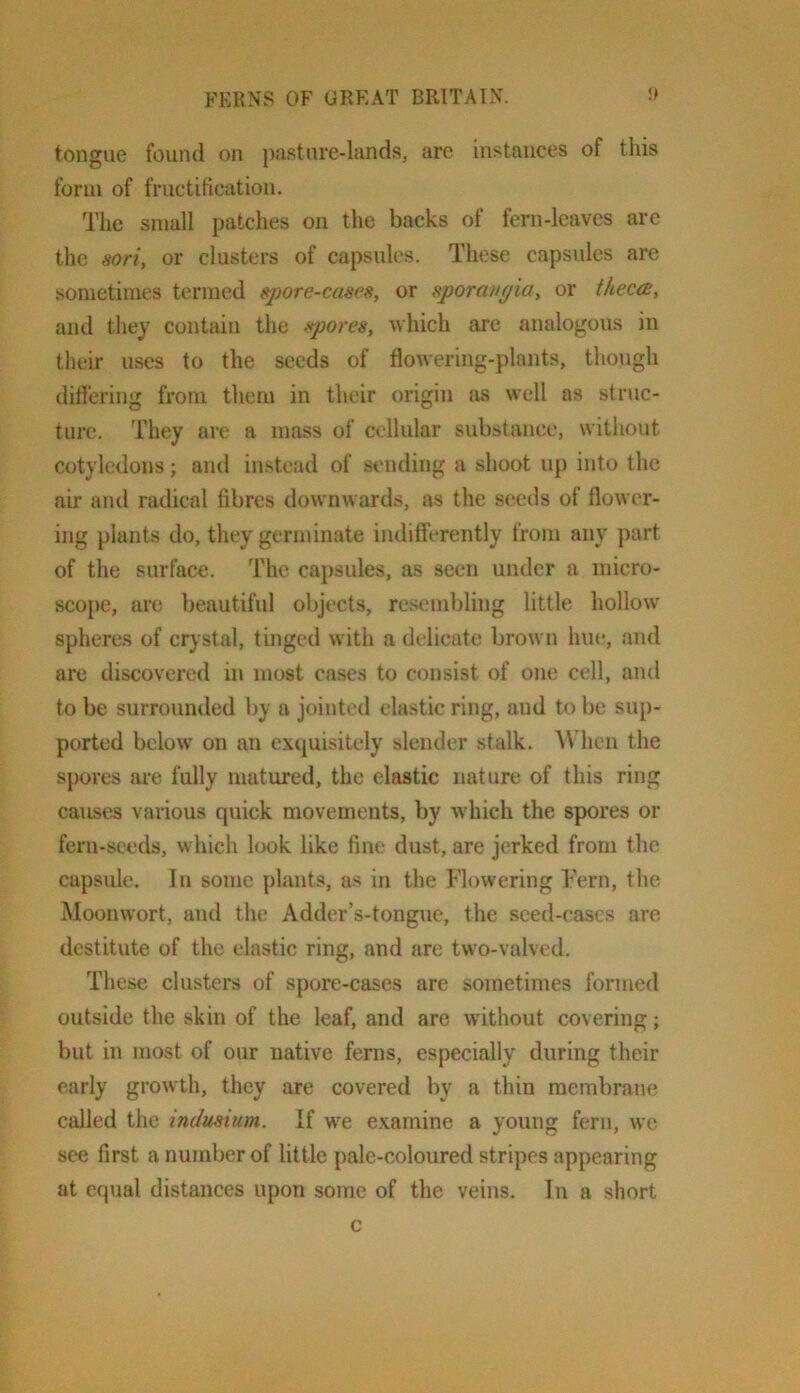 tongue found on pasture-lands, are instances of this form of fructitication. The small patches on the backs of fern-leaves are the sori, or clusters of capsules. These capsules are sometimes termed »pore-cases, or sporangia, or theca, and they contain the spores, which are analogous in their uses to the seeds of flowering-plants, though diflering from them in their origin as well as struc- ture. They are a mass of cellular substance, without cotyledons; and instead of sending a shoot up into the air and radical fibres downwards, as the seeds of flower- ing plants do, they germinate indifierently from an}^ part of the surface. The capsules, as seen under a micro- scope, are beautiful objects, resembling little hollow spheres of crystal, tinged with a delicate brown hue, and are discovered in most cases to consist of one cell, and to be surrounded by a jointed elastic ring, and to be sup- ported below on an exquisitely slender stalk. A\ hen the spores are fully matured, the elastic nature of this ring causes various quick movements, by which the spores or fern-seeds, which look like fine dust, are jerked from the capsule. In some jilants, as in the Flowering Fern, the Moonwort, and the Adder’s-tongue, the seed-cases are destitute of the elastic ring, and are two-valved. These clusters of spore-cases are sometimes formed outside the skin of the leaf, and are without covering; but in most of our native ferns, especially during their early growth, they are covered by a thin membrane called the indusium. If we examine a young fern, we see first a number of little pale-coloured stripes appearing at equal distances upon some of the veins. In a short c
