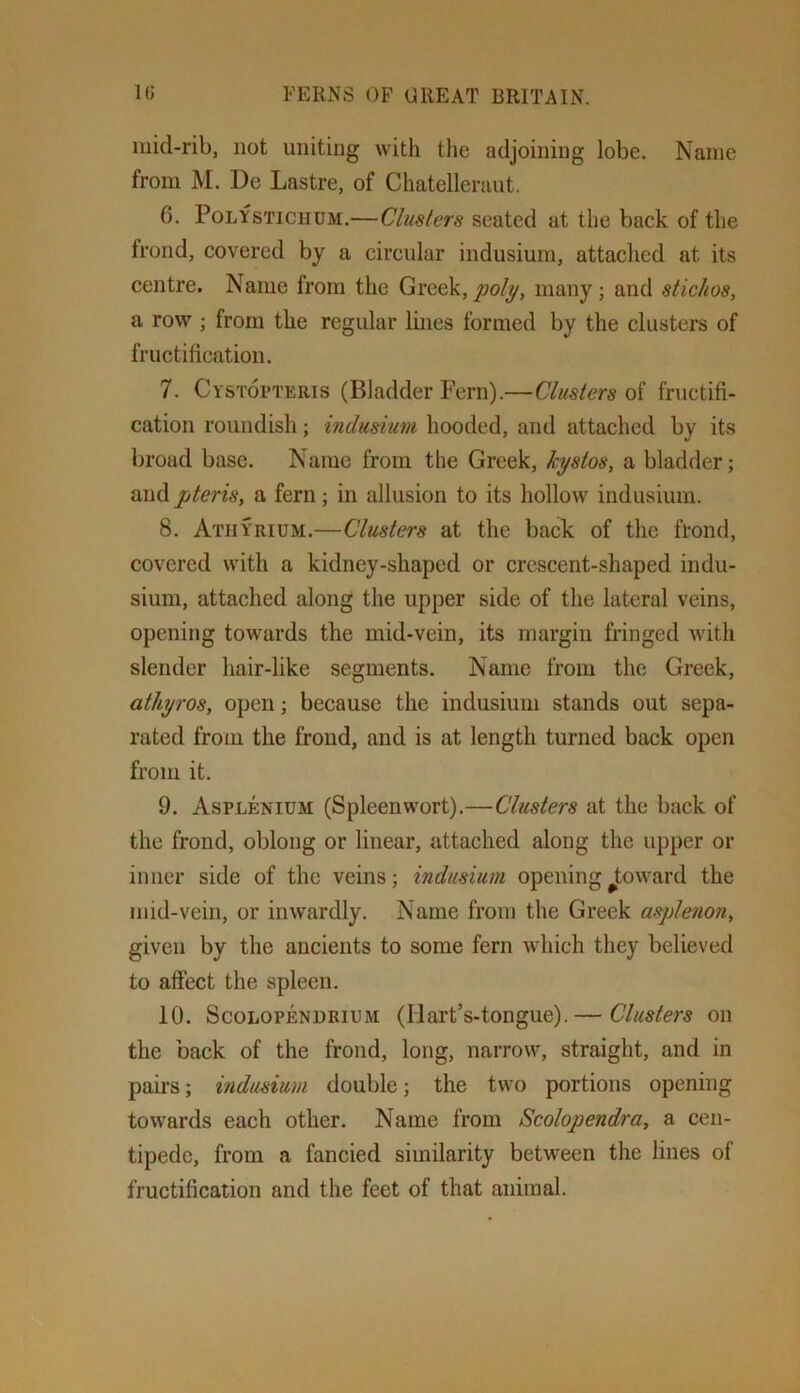 mid-rib, not uniting with the adjoining lobe. Name from M. De Lastre, of Chatelleraut. 6. PoLYSTiCHUM.—Clusters seated at the back of the frond, covered by a circular indusium, attached at its centre. Name from the Greek,/jo/y, many; and stichos, a row ; from the regular lines formed by the clusters of fructification. 7. Cystopteris (Bladder Fern).—Clusters of fructifi- cation roundish; indusium hooded, and attached by its broad base. Name from the Greek, Icystos, a bladder; and pteris, a fern; in allusion to its hollow indusium. 8. Atiiyrium.—Clusters at the back of the frond, covered with a kidney-shaped or crescent-shaped indu- sium, attached along the upper side of the lateral veins, opening towards the mid-vein, its margin fringed with slender hair-like segments. Name from the Greek, athyros, open; because the indusium stands out sepa- rated from the frond, and is at length turned back open from it. 9. Asplenium (Spleenwort).—Clusters at the back of the frond, oblong or linear, attached along the upper or inner side of the veins; indusium opening J;oward the mid-vein, or inwardly. Name from the Greek aspletion^ given by the ancients to some fern which they believed to affect the spleen. 10. ScoLOPENDRiUM (llart’s-tongue).— Clusters on the back of the frond, long, narrow, straight, and in pairs; indusium double; the two portions opening towards each other. Name from Scolopendra, a cen- tipede, from a fancied similarity between the lines of fructification and the feet of that animal.