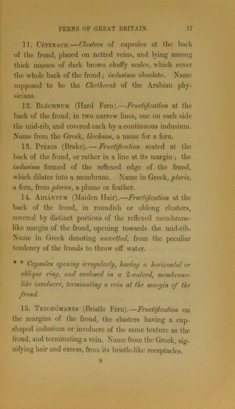 n. C^:terach.—Cli/siers of capsules at the hack of the frond, placed on netted vein.s, and lying among thick masses of dark brown chaffy scales, which cover the whole hack of the frond ; imhmum obsolete. Name supposed to be the Chetherak of the Arabian [)hy- sicians. 12. Blechnum (Hard Fern).—FrucUfeation at the back of the frond, in two narrow lines, one on each side the mid-rib, and covered each by a continuous indusium. Name from the Greek, hlechnon, a name for a fern. 13. Pteris (Brake). — Fructification seated at the back of the frond, or rather in a line at its margin ; the induftium formed of the refle.xed edge of the frond, which dilates into a membrane. Name in Greek, pteris, u fern, from pteroii, a plume or feather. 14. Adiantum (Maiden Hair).—Fructification at the back of the frond, in roundish or oblong clusters, covered by distinct portions of the reflexed membrane- like margin of the frond, opening towards the mid-rib. Name in Greek denoting unwetted, from the peculiar tendency of the fronds to throw off water. * * Capsules ojjenin^ irregularly, having a horizontal or oblique ring, and enclosed in a '1-valoed, membrane- like involucre, terminating a vein at the margin of the frond. 15. Tricjiomanes (Bristle Fern).—Fructification on the margins of the frond, the clusters having a cup- shaped indusium or involucre of the same texture as the frond, and terminating a vein. Name from the Greek, sig- nifying hair and excess, from its bristle-like receptacles. n