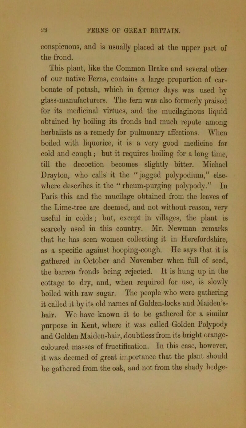 conspicuous, and is usually placed at the upper part of the frond. This plant, like the Common Brake and several other of our native Ferns, contains a large proportion of car- bonate of potash, which in former days was used by glass-manufacturers. The fern was also formerly praised for its medicinal virtues, and the mucilaginous liquid obtained by boiling its fronds had much repute among herbalists as a remedy for pulmonaiy affections. When boiled with liquorice, it is a very good medicine for cold and cough; but it requires boiling for a long time, till the decoction becomes shghtly bitter. Michael Drayton, who calls it the “jagged polypodium,” else- where describes it the “ rheum-purging polypody.” In Paris this and the mucilage obtained from the leaves of the Lime-tree are deemed, and not without reason, very useful in colds; but, except in villages, the plant is scarcely used in this country. Mr. Newman remarks that he has seen women collecting it in Herefordshire, as a specific against hooping-cough. He says that it is gathered in October and November when full of seed, the barren fronds being rejected. It is hung up in the cottage to dry, and, when required for use, is slowly boiled with raw sugar. The people who were gathering it called it by its old names of Golden-locks and Maiden’s- hair. We have known it to be gathered for a similar purpose in Kent, where it was called Golden Polypody and Golden Maiden-hair, doubtless from its bright orange- coloured masses of fructification. In this case, however, it was deemed of great importance that the plant should be gathered from the oak, and not from the shady hedge-