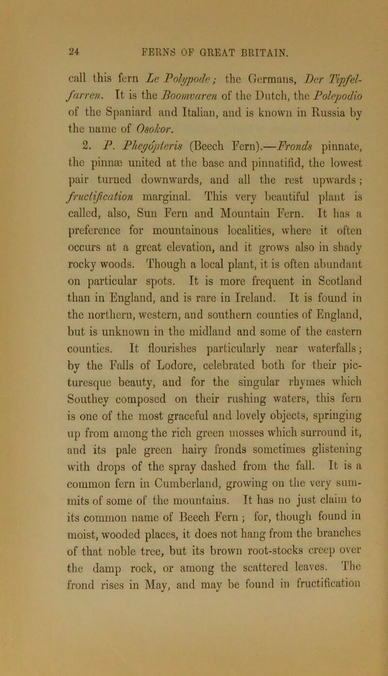 call this fern Le Poh/pode; the Germans, J)cr Tipfd- farren. Tt is the Boomvaren of the Dutch, the Polepodio of the Spaniard and Italian, and is known in Russia by the name of Oaolcor. 2. P. PJiepdpieris (Beech Fern).—Fronds pinnate, the pinnae united at the base and pinnatifid, the loAvest ])air turned downwards, and all the rest upwards; fructification marginal. This very beautiful plant is called, also, Sun Fern and Mountain Fern. It has a preference for mountainous localities, where it often occurs at a great elevation, and it grows also in shady rocky woods. Though a local plant, it is often abundant on particular spots. It is more frequent in Scotland than in England, and is rare in Ireland. It is found in the northern, western, and southern counties of England, but is unknown in the midland and some of the eastern counties. It flourishes particularly near waterfalls; by the Falls of Lodorc, celebrated both for their pic- turesque beauty, and for the singular rhymes which Southey composed on their rushing waters, this fern is one of the most graceful and lovely objects, springing up from among the rich green mosses which surround it, and its pale green hairy fronds sometimes glistening with drops of the spray dashed from the hill. It is a common fern in Cumberland, growing on the very sum- mits of some of the mountains. It has no just claim to its common name of Beech Fern ; for, though found in moist, wooded places, it does not hang from the branches of that noble tree, but its brown root-stocks creep over the damp rock, or among the scattered leaves. The frond rises in May, and may be found in fructification