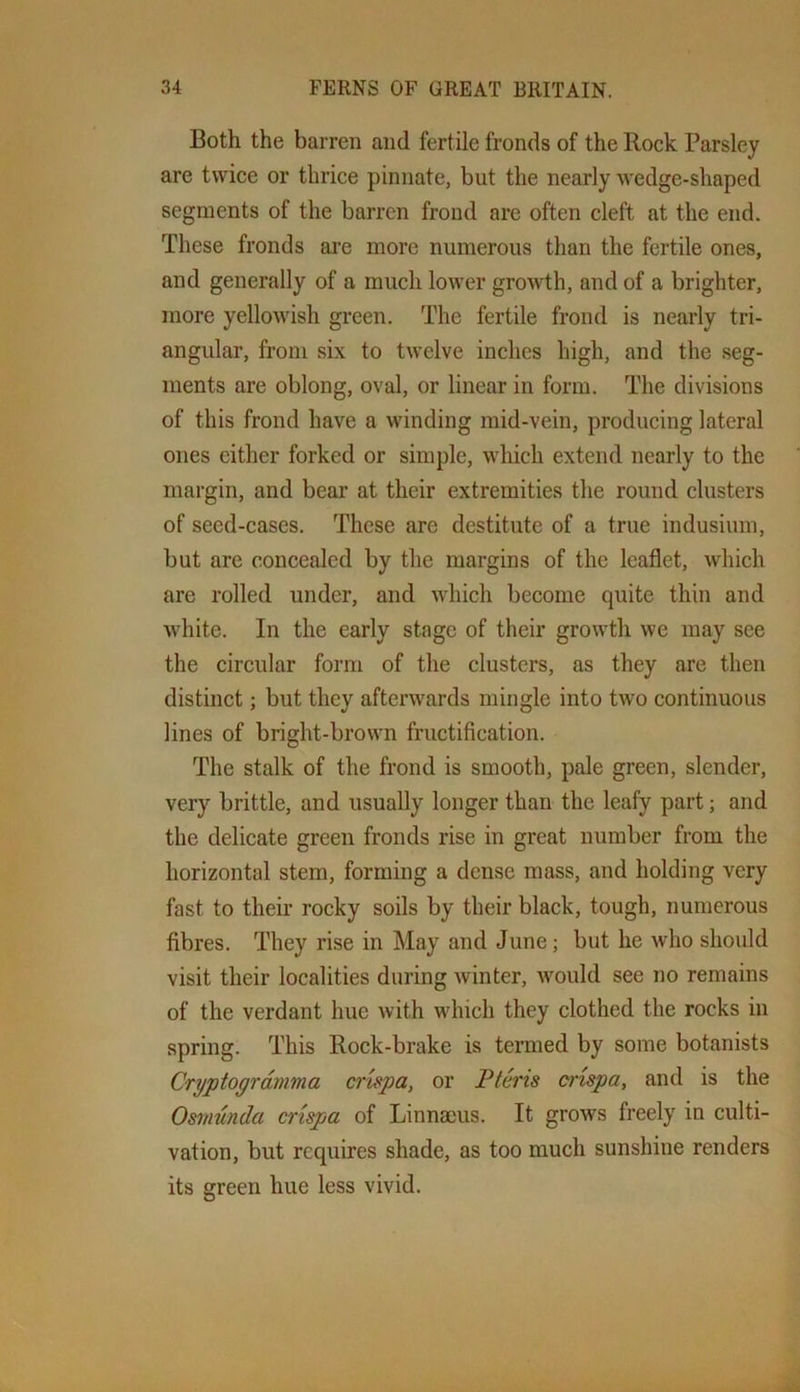 Both the barren and fertile fronds of the Rock Parsley are twice or thrice pinnate, but the nearly wedge-shaped segments of the barren frond are often cleft at the end. These fronds ai’e more numerous than the fertile ones, and generally of a much lower growth, and of a brighter, more yellowish green. The fertile frond is nearly tri- angular, from six to twelve inches high, and the seg- ments are oblong, oval, or linear in form. The divisions of this frond have a wdnding mid-vein, producing lateral ones cither forked or simple, which extend nearly to the margin, and bear at their extremities the round clusters of seed-cases. These are destitute of a true indusium, but are concealed by the margins of the leaflet, which are rolled under, and which become quite thin and white. In the early stage of their growth we may see the circular form of the clusters, as they are then distinct; but they afterwards mingle into two continuous lines of bright-brown fructification. The stalk of the frond is smooth, pale green, slender, very brittle, and usually longer than the leafy part; and the delicate green fronds rise in great number from the horizontal stem, forming a dense mass, and holding very fast to their rocky soils by their black, tough, numerous fibres. They rise in May and June; but he who should visit their localities during winter, would see no remains of the verdant hue with which they clothed the rocks in spring. This Rock-brake is termed by some botanists Cryptogrdmma crispa, or Pteris crispa, and is the Osmunda crispa of Linnaeus. It grows freely in culti- vation, but requires shade, as too much sunshine renders its green hue less vivid.