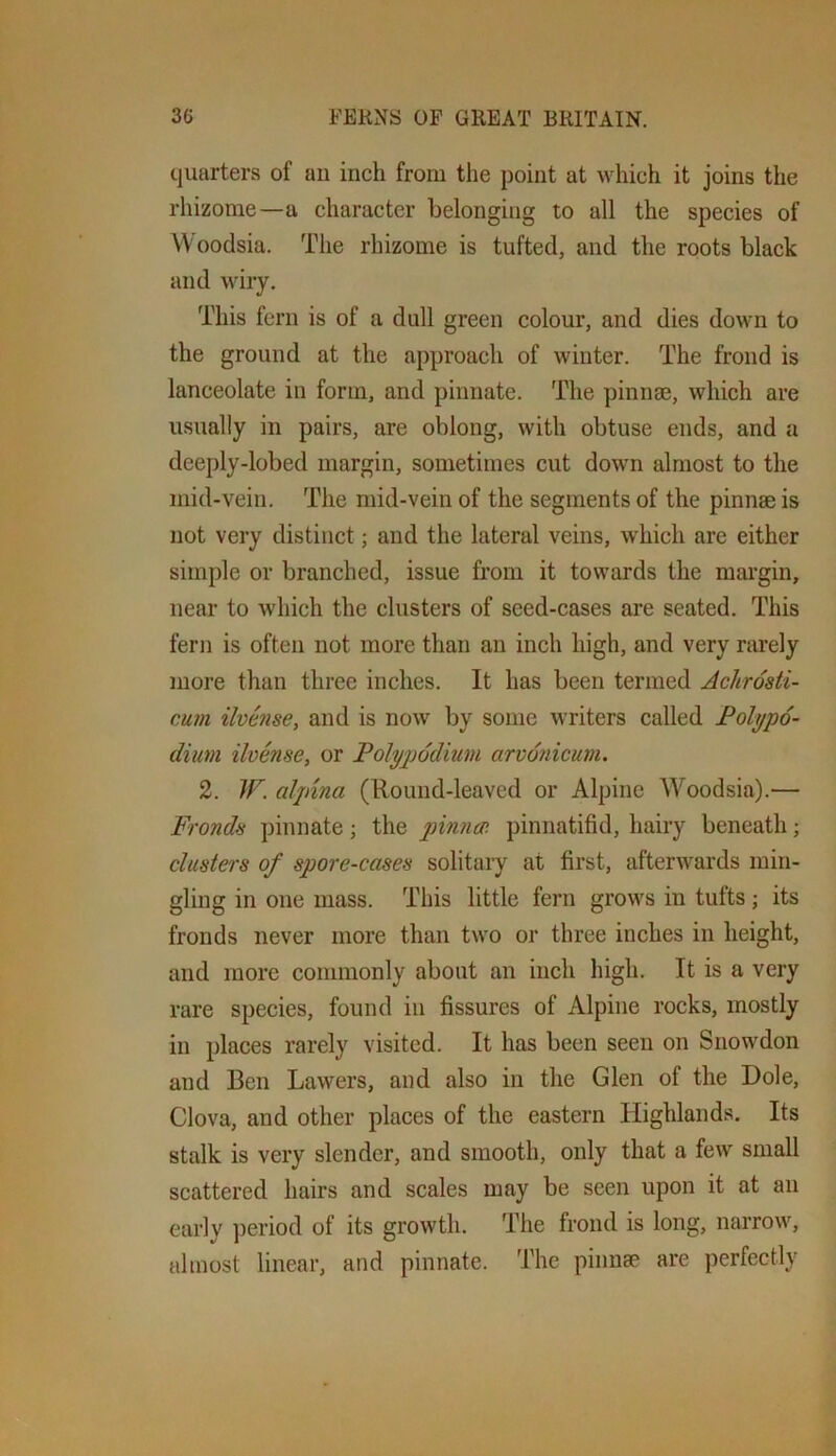quarters of aii inch from the point at which it joins the rhizome—a character belonging to all the species of VVoodsia. The rhizome is tufted, and the roots black and wiry. This fern is of a dull green colour, and dies down to the ground at the approach of winter. The frond is lanceolate in form, and pinnate. The pinnae, which are usually in pairs, are oblong, with obtuse ends, and a deeply-lobed margin, sometimes cut down almost to the mid-vein. The mid-vein of the segments of the pinnae is not very distinct; and the lateral veins, which are either simple or branched, issue from it towards the mai’gin, near to which the clusters of seed-cases are seated. This fern is often not more than an inch high, and very rarely more than three inches. It has been termed Achrdsti- cum ilvense, and is now by some writers called Folt/pd- diim ilvense, or Polyjjddium arvdnicum. 2. W. alpina (Round-leaved or Alpine Woodsia).— Fronds pinnate; the pinna-, pinnatifid, hairy beneath; clusters of spore-cases solitary at first, afterwards min- gling in one mass. This little fern grows in tufts; its fronds never more than two or three inches in height, and more commonly about an inch high. It is a very rare species, found in fissures of Alpine rocks, mostly in places rarely visited. It has been seen on Snowdon and Ben Lawers, and also in the Glen of the Dole, Clova, and other places of the eastern Highlands. Its stalk is very slender, and smooth, only that a few small scattered hairs and scales may be seen upon it at an early period of its growth. The frond is long, narrow, almost linear, and pinnate. The piiinge are perfectly