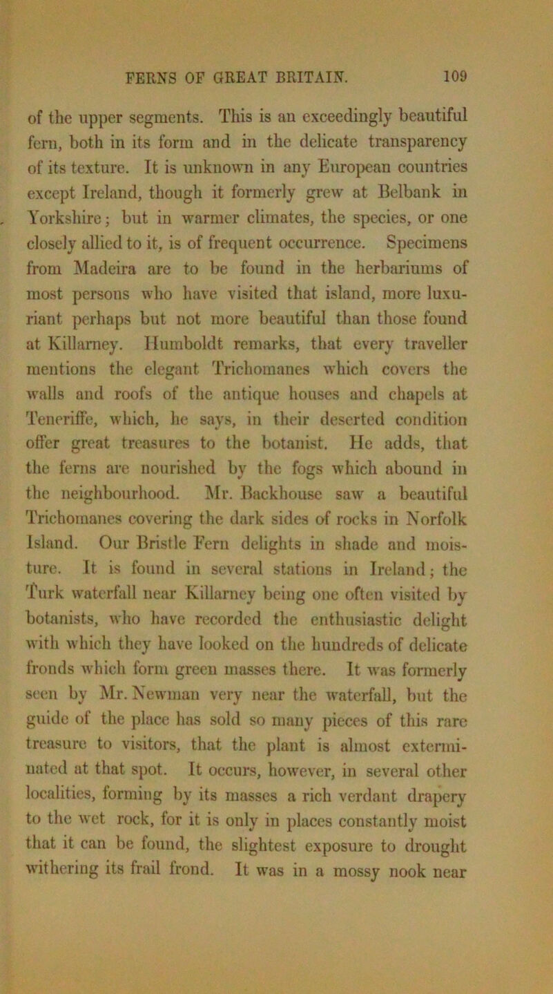 of the upper segments. This is au exceedingly beautiful fern, both in its form and in the delicate transparency of its texture. It is unknown in any Eurojiean countries except Ireland, though it formerly grew at Belbank in Yorkshire; but in warmer climates, the species, or one closely allied to it, is of frequent occurrence. Specimens from Madeira are to be found in the herbariums of most persons who have visited that island, more luxu- riant perhaps but not more beautiful than those found at Killamey. Humboldt remarks, that every traveller mentions the elegant Trichomanes which covers the walls and roofs of the antique houses and chapels at Teneriffe, which, he says, in their deserted condition offer great treasures to the botanist. He adds, that the ferns are nourished bv the fogs which abound in the neighbourhood. Mr. Backhouse saw^ a beautiful Trichomanes covering the dark sides of rocks in Norfolk Island. Our Bristle Fern delights in shade and mois- ture. It is found in several stations in Ireland; the Turk waterfall near Killarncy being one often visited by botanists, who have recorded the enthusiastic delight with which they have looked on the hundreds of delicate fronds wdiich form green masses there. It was formerly seen by Mr. Newman very near the w’aterfall, but the guide of the place has sold so many pieces of this rare treasure to visitors, that the plant is almost extermi- nated at that spot. It occurs, how’ever, in several other localities, forming by its masses a rich verdant drapery to the w'et rock, for it is only in places constantly moist that it can be found, the slightest exposure to drought withering its frail frond. It w'as in a mossy nook near