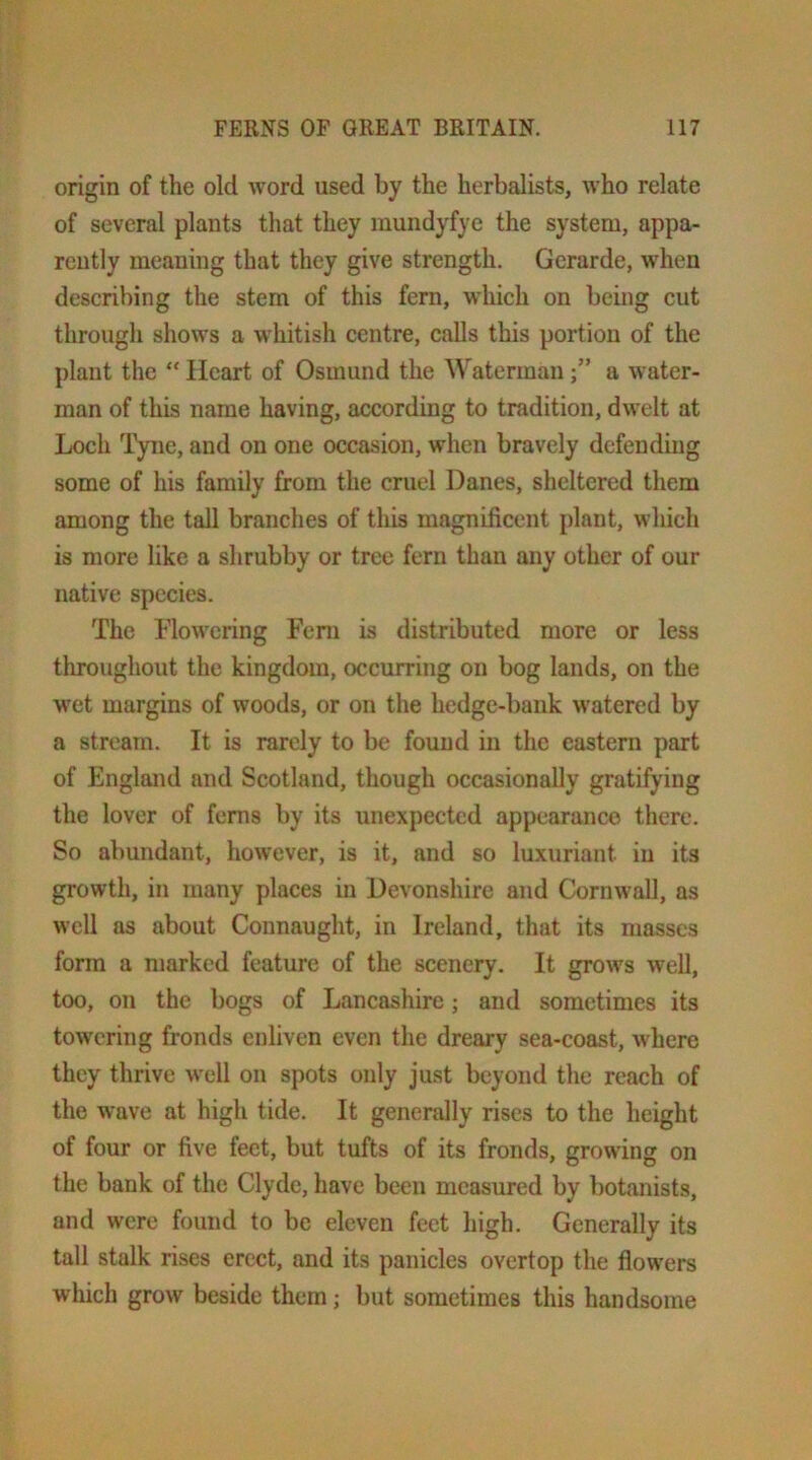 origin of the old word used by the herbalists, who relate of several plants that they mundyfye the system, appa- rently meaning that they give strength. Gerarde, when describing the stem of this fern, which on being cut through shows a whitish centre, calls this portion of the plant the “ Heart of Osmund the Watermana water- man of this name having, according to tradition, dwelt at Loch T}uie, and on one occasion, when bravely defending some of his family from the cruel Danes, sheltered them among the tall branches of this magnificent plant, which is more like a shrubby or tree fern than any other of our native species. The Flowering Fern is distributed more or less tlu-oughout the kingdom, occurring on bog lands, on the wet margins of woods, or on the hedge-bank watered by a stream. It is rarely to be found in the eastern part of England and Scotland, though occasionally gratifying the lover of fenis by its unexpected appearance there. So abundant, however, is it, and so luxuriant in its growth, in many places in Devonshire and Cornwall, as well as about Connaught, in Ireland, that its masses form a marked feature of the scenery. It grows well, too, on the bogs of Lancashire; and sometimes its towering fronds enliven even the dreary sea-coast, where they thrive well on spots only just beyond the reach of the wave at high tide. It generally rises to the height of four or five feet, but tufts of its fronds, growing on the bank of the Clyde, have been measured by botanists, and were found to be eleven feet high. Generally its tall stalk rises erect, and its panicles overtop the flowers which grow beside them; but sometimes this handsome
