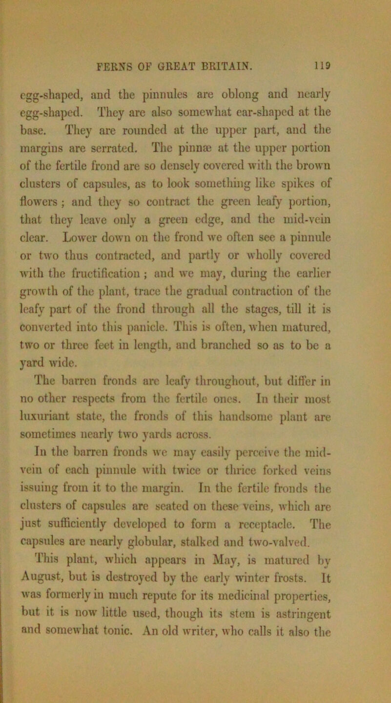 egg-shaped, and the pinnules are oblong and nearly egg-shaped. They are also somewhat ear-shaped at the base. They are rounded at the upper part, and the margins are serrated. The pinnae at the upper portion of the fertile frond are so densely covered with the brown clusters of capsules, as to look something like spikes of flowers ; and they so contract the green leafy portion, that they leave only a green edge, and the mid-vein clear. Lower down on the frond we often see a pinnule or two thus contracted, and partly or wholly covered with the fructification ; and we may, during the earlier growth of the plant, trace the gradual contraction of the leafy part of the frond through all the stages, till it is converted into this panicle. This is often, when matured, two or three feet in length, and branched so as to be a yard wide. The barren fronds are leafy throughout, but ditfer in no other respects from the fertile ones. In their most luxuriant state, the fronds of this handsome plant are sometimes nearly two yards across. In the barren fronds we may easily perceive the mid- vein of each pinnule with twice or thrice forked veins issuing from it to the margin. In the fertile fronds the clusters of capsules are seated on these veins, which are just sufficiently developed to form a receptacle. The capsides arc nearly globular, stalked and two-valved. This plant, which appears in May, is matured by August, but is destroyed by the early winter frosts. It was formerly in much repute for its medicinal properties, but it is now little used, though its stem is astringent and somewhat tonic. An old writer, who calls it also the