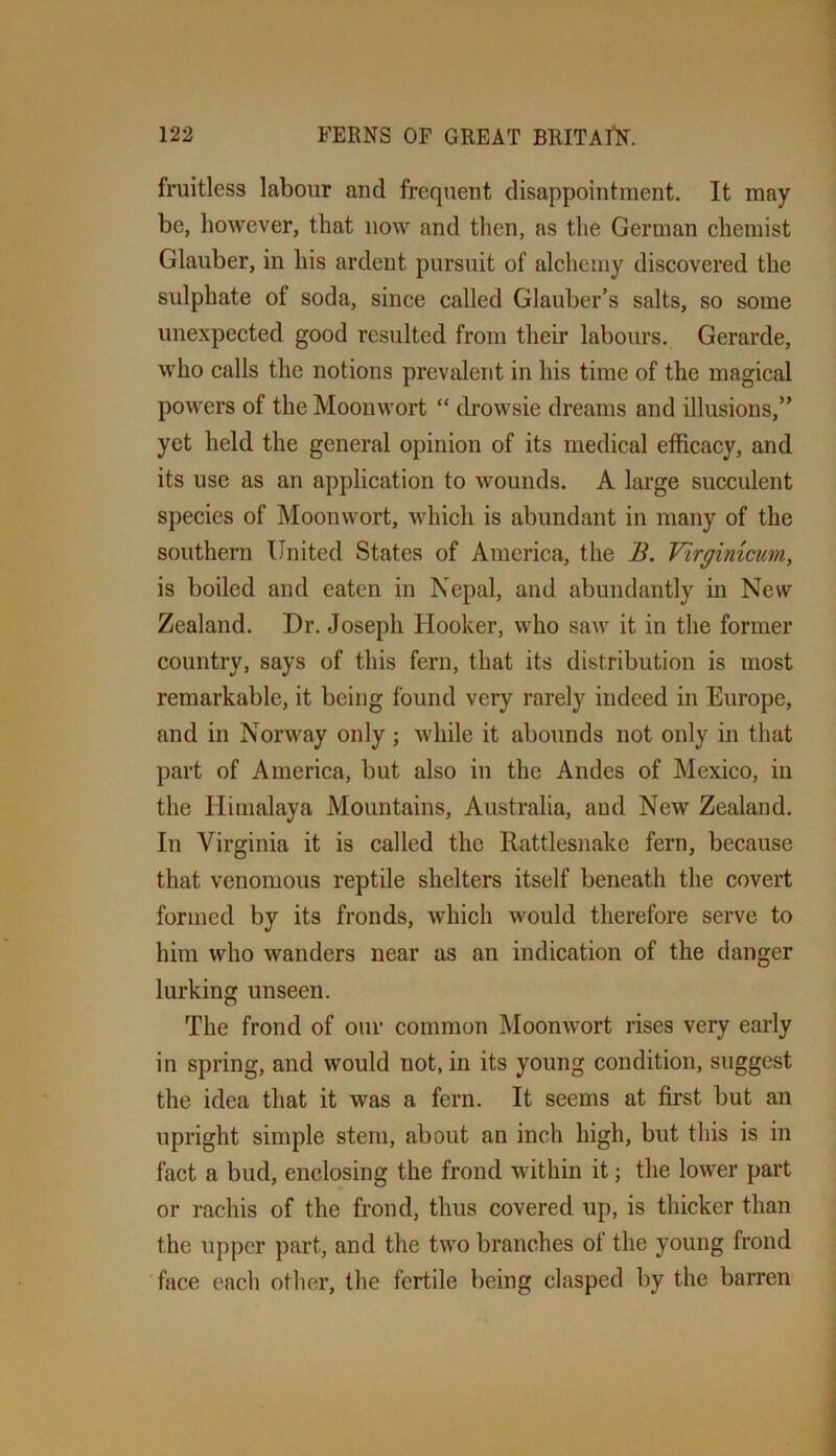 fruitless labour and frequent disappointment. It may be, however, that now and then, as the German chemist Glauber, in his ardent pursuit of alchemy discovered the sulphate of soda, since called Glauber’s salts, so some unexpected good resulted from their labours. Gerarde, who calls the notions prevalent in his time of the magical powers of the Moonwort “ drowsie dreams and illusions,” yet held the general opinion of its medical efficacy, and its use as an application to wounds. A large succulent species of Moonwort, which is abundant in many of the southern United States of America, the B. Virgimcuin, is boiled and eaten in Nepal, and abundantly in New Zealand. Dr. Joseph Hooker, who saw it in the former country, says of this fern, that its distribution is most remarkable, it being found very rarely indeed in Europe, and in Norway only j while it abounds not only in that part of America, but also in the Andes of Mexico, in the Himalaya Mountains, Australia, and New Zealand. In Virginia it is called the Rattlesnake fern, because that venomous reptile shelters itself beneath the covert formed by its fronds, which would therefore serve to him who wanders near as an indication of the danger lurking unseen. The frond of our common Moonwort rises very early in spring, and would not, in its young condition, suggest the idea that it was a fern. It seems at first but an upright simple stem, about an inch high, but this is in fact a bud, enclosing the frond within it; the lower part or rachis of the frond, thus covered up, is thicker than the upper part, and the two branches of the young frond face each other, the fertile being clasped by the barren