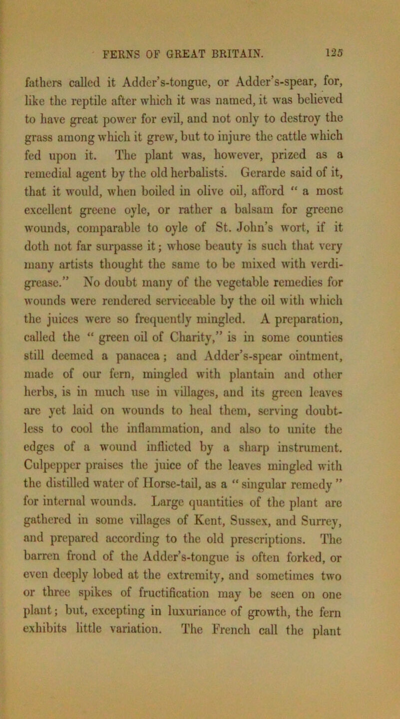 fathers called it Adder’s-tongue, or Adder’s-spear, for, like the reptile after which it was named, it was believed to have great power for evil, and not only to destroy the grass among which it grew, but to injure the cattle which fed upon it. The plant was, however, prized as a remedial agent by the old herbalists. Gerarde said of it, that it would, when boiled in olive oil, afford “ a most excellent greene oyle, or rather a balsam for greene wounds, comparable to oyle of St. John’s wort, if it doth not far surpasse it; whose beauty is such that very many artists thought the same to be mixed with verdi- grease.” No doubt many of the vegetable remedies for wounds were rendered ser\iceable by the oil with wdiich the juices were so frequently mingled. A preparation, called the “ green oil of Charity,” is in some counties still deemed a panacea; and Adder’s-spcar ointment, made of oiu: fern, mingled with plantain and other herbs, is in much use in villages, and its green leaves are yet laid on w'ounds to heal them, serving doubt- less to cool the inflammation, and also to unite the edges of a wound inflicted by a sharp instrument. Culpepper praises the juice of the leaves mingled with the distilled water of Horse-tail, as a “ singular remedy ” for internal wounds. Large quantities of the plant are gathered in some villages of Kent, Sussex, and Surrey, and prepared according to the old prescriptions. The barren frond of the Adder’s-tongue is often forked, or even deeply lobed at the extremity, and sometimes two or three spikes of fructification may be seen on one plant; but, excepting in luxuriance of growth, the fern exhibits little variation. The French call the plant