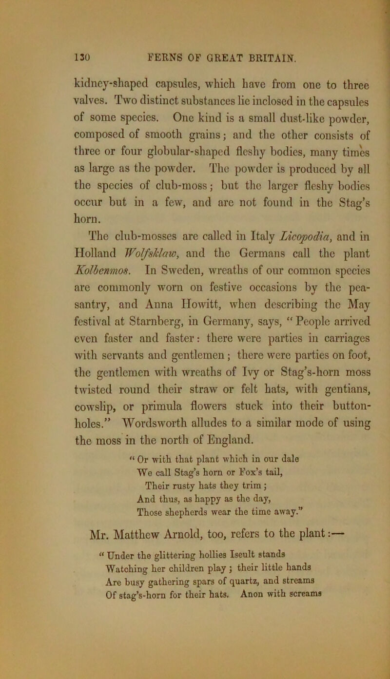 kidney-shaped capsules, which have from one to three valves. Two distinct substances lie inclosed in the capsules of some species. One kind is a small dust-like powder, composed of smooth grains; and the other consists of three or four globular-shaped fleshy bodies, many times as large as the powder. The powder is produced by all the species of club-moss; but tlie larger fleshy bodies occur but in a few, and are not found in the Stag’s horn. The club-mosses are called in Italy Licopodia, and in Holland Wolfsklaw, and the Germans call the plant Kolbenmos. In Sweden, wreaths of our common species are commonly worn on festive occasions by the pea- santry, and Anna Ilowitt, when describing the May festival at Starnberg, in Germany, says, “ People arrived even faster and faster: there were parties in carriages with servants and gentlemen; there were parties on foot, the gentlemen with wreaths of Ivy or Stag’s-horn moss twisted round their straw or felt hats, with gentians, cowslip, or primula flowers stuck into their button- holes.” Wordsworth alludes to a similar mode of using the moss in the north of England. “ Or with that plant which in our dale We call Stag’s horn or Fox’s tail, Their rusty hats they trim; And thus, as happy as the day. Those shepherds wear the time away.” Mr. Matthew Arnold, too, refers to the plant:— “ Under the glittering hollies Iseult stands Watching her children play j their little hands Are busy gathering spars of quartz, and streams Of stag’s-hom for their hats. Anon with screams