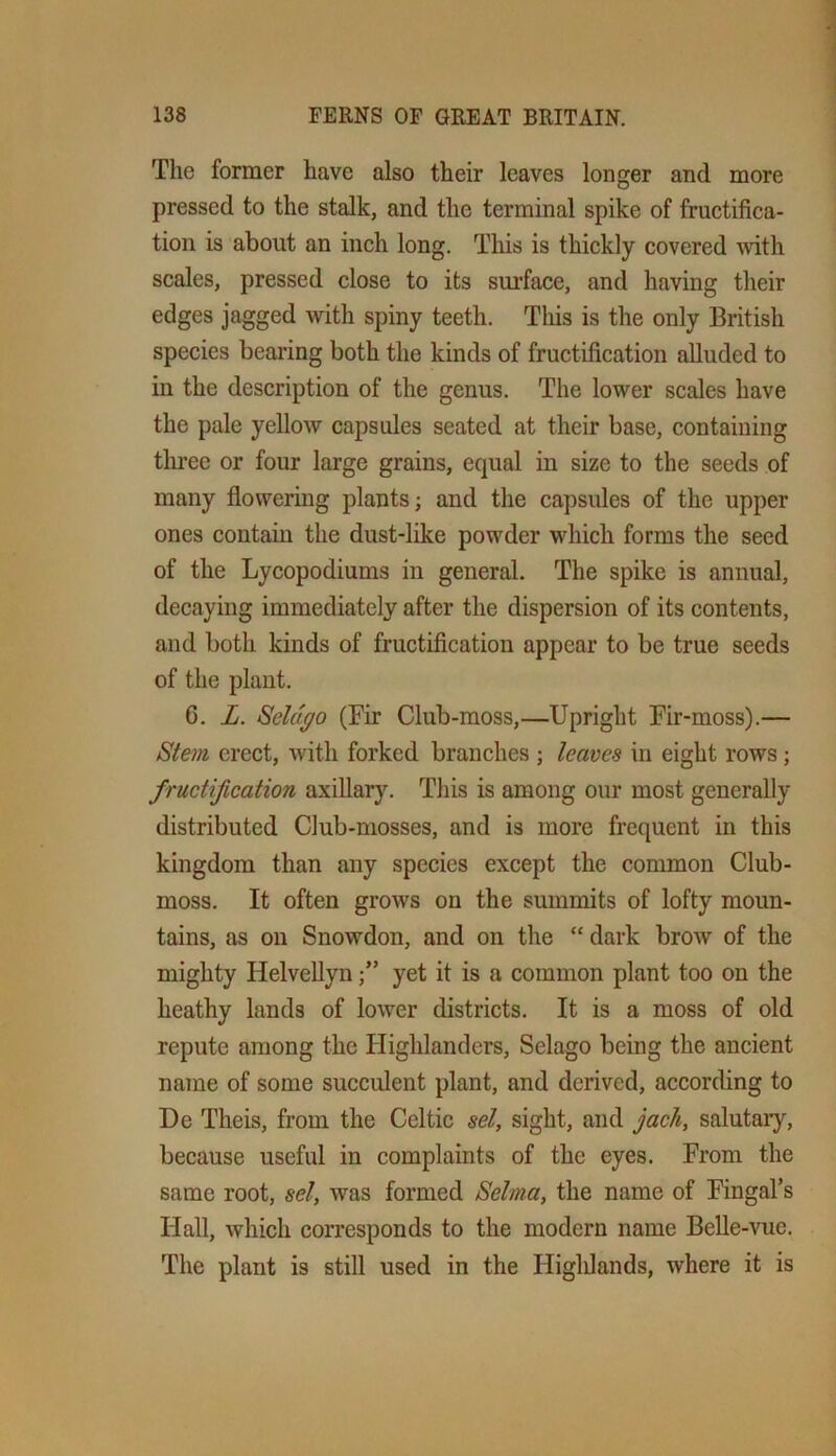 The former have also their leaves longer and more pressed to the stalk, and the terminal spike of fructifica- tion is about an inch long. This is thickly covered with scales, pressed close to its surface, and having their edges jagged with spiny teeth. This is the only British species bearing both the kinds of fructification alluded to in the description of the genus. The lower scales have the pale yellow capsules seated at their base, containing tlu-ec or four large grains, equal in size to the seeds of many flowering plants; and the capsules of the upper ones contain the dust-like powder which forms the seed of the Lycopodiums in general. The spike is annual, decaying immediately after the dispersion of its contents, and both kinds of fructification appear to be true seeds of the plant. 6. L. Scldgo (Fir Club-moss,—Upright Fir-moss).— Stem, erect, with forked branches ; leaves in eight rows; fructification axillary. This is among our most generally distributed Club-mosses, and is more frequent in this kingdom than any species except the common Club- moss. It often grows on the summits of lofty moun- tains, as on Snowdon, and on the “ dark brow of the mighty HelveUynyet it is a common plant too on the heathy lands of lower districts. It is a moss of old repute among the Ilighlanders, Selago being the ancient name of some succulent plant, and derived, according to De Theis, from the Celtic set, sight, and jack, salutary, because useful in complaints of the eyes. From the same root, set, was formed Selma, the name of Fingal’s Hall, which corresponds to the modern name Belle-vue. The plant is still used in the Higlilands, where it is