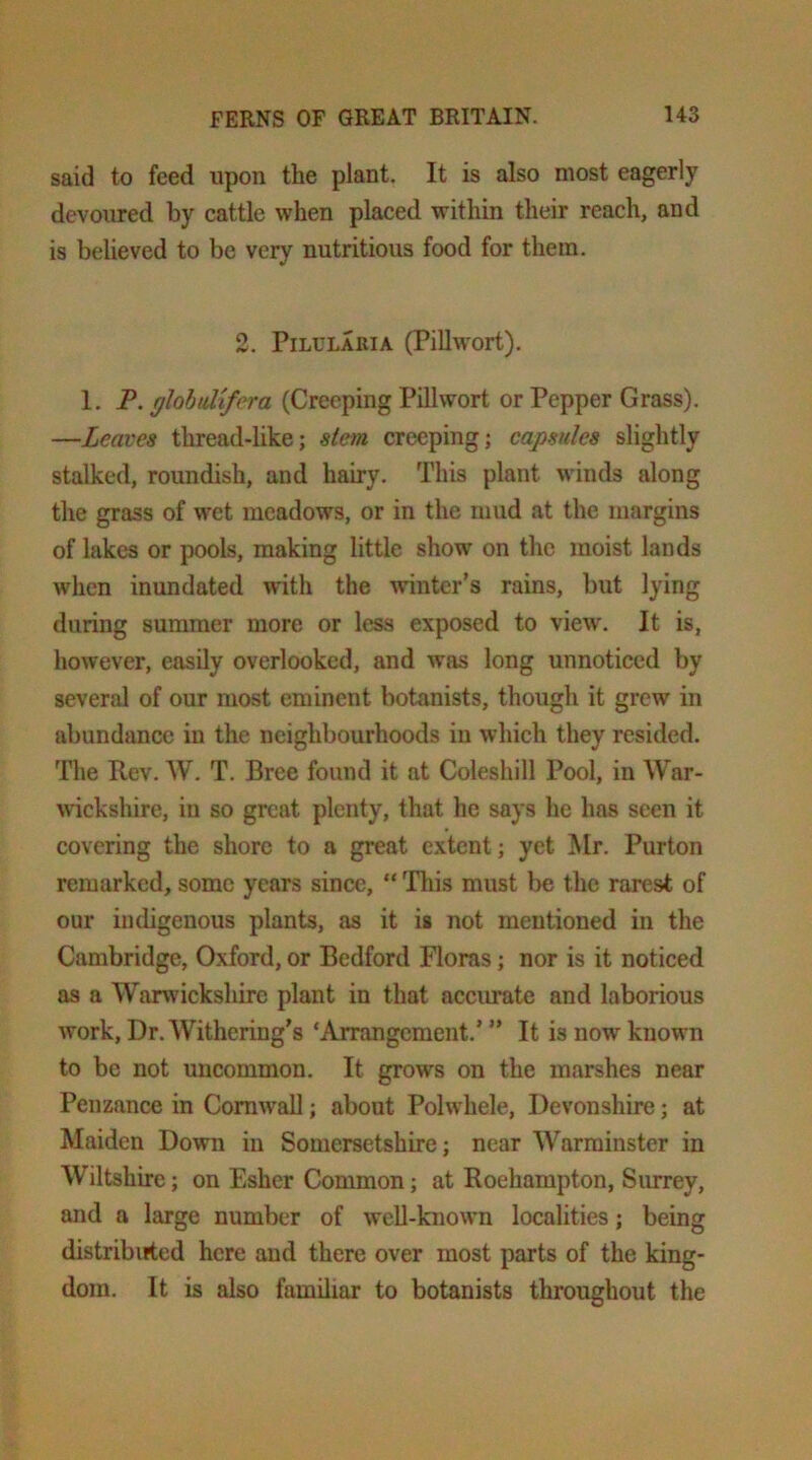 said to feed upon the plant. It is also most eagerly devoured by cattle when placed within their reach, and is believed to be very nutritious food for them. 2. PiLULARiA (Pillw'ort). 1. P. glohulifera (Creeping Pillwort or Pepper Grass). —Leaves thread-like; stem creeping; capsules slightly stalked, roundish, and hairy. This plant winds along the grass of wet meadows, or in the mud at the margins of lakes or pools, making little show on the moist lands when inundated with the winter’s rains, but lying during summer more or less exposed to view. It is, however, easily overlooked, and was long unnoticed by several of our most eminent botanists, though it grew in abundtmcc in the neighbourhoods in which they resided. The Rev. W. T. Bree found it at Coleshill Pool, in War- wickshire, in so great plenty, that he says he has seen it covering the shore to a great extent; yet Mr. Purton remarked, some years since, “ ’Tliis must be the rarest of our indigenous plants, as it is not mentioned in the Cambridge, Oxford, or Bedford Floras; nor is it noticed as a Warwickshire plant in that accimate and laborious work, Dr. Withering’s ‘Arrangement.’ ” It is now known to be not uncommon. It grows on the marshes near Penzance in Cornwall; about Polwhele, Devonshire; at Maiden Down in Somersetshire; near Warminster in Wiltshire; on Esher Common; at Roehampton, Simrey, and a large number of well-known localities; being distribifted here and there over most parts of the king- dom. It is also familiar to botanists throughout the