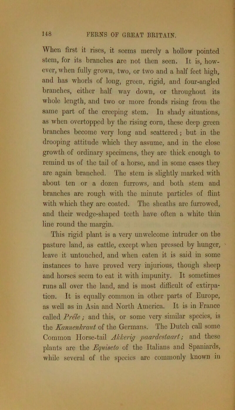 When first it rises, it seems merely a hollow pointed stem, for its branches are not then seen. It is, how- ever, when fully grown, two, or two and a half feet high, and has whorls of long, green, rigid, and fom’-angled branches, either half way down, or throughout its whole length, and two or more fronds rising from the same part of the creeping stem. In shady situations, as when overtopped by the rising corn, these deep green branches become very long and scattered; but in the drooping attitude which they assume, and in the close growth of ordinary specimens, they are thick enough to remind us of the tail of a horse, and in some cases they are again branched. The stem is slightly marked with about ten or a dozen furrows, and both stem and branches are rough with the minute particles of flint with which they are coated. The sheaths arc furrowed, and their wedge-shaped teeth have often a white thin line round the margin. This rigid plant is a very unwelcome intruder on the pasture land, as cattle, except when pressed by hunger, ' leave it untouched, and when eaten it is said in some instances to have proved very injurious, though sheep and horses seem to eat it with impunity. It sometimes runs all over the land, and is most difficult of extirpa- tion. It is equally common in other parts of Europe, as well as in Asia and North America. It is in France called Vrele; and this, or some very similar species, is the Kannenhraut of the Germans. The Dutch call some Common Horse-tail Alckerig jjaardestaart; and these plants are the Equiseto of the Italians and Spaniards, while several of the species arc commonly knowm in