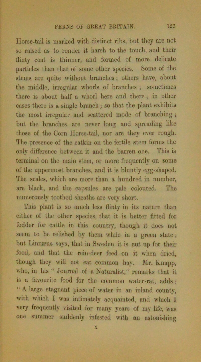 Horse-tail is marked with distinct ribs, but they are not so raised as to render it harsh to tlie touch, and their flinty coat is thinner, and foruied of more delicate particles than that of some other species. Some of the stems arc quite without branches ; others have, about the middle, irreg\ilar whorls of branches ; sometimes there is about InUf a whorl here and there; in other cases there is a single branch; so that the plant exhibits the most irregular and scattered mode of branching ; but the branches are never long and spreading like those of the Corn Horse-tail, nor are they ever rough. The presence of the catkin on the fertile stem forms the only difference between it and the barren one. This is terminal on the main stem, or more frequently on some of the uppermost branches, and it is bluntly egg-shaped. The scales, which are more than a hundred in number, are black, and the caj)sules are pale coloured. The numerously tewthed sheaths are very short. This plant is so much less flinty in its nature than either of the other species, that it is better fitted for fodder for cattle in this country, though it does not seem to be relished by them while in a green state ; but Linnmus says, that in Sweden it is cut up for their food, and that the rein-deer feed on it when dried, though they will not eat common hay, Mr. Knapp, who, in his “ Journal of a Naturalist,” remarks that it is a favourite food for the common water-rat, adds : “ A large stagnant piece of water in an inland county, with wdiich I was intimately acquainted, and which I very frecjuently visited for many years of my life, was one summer suddenly infested with an astonishing X