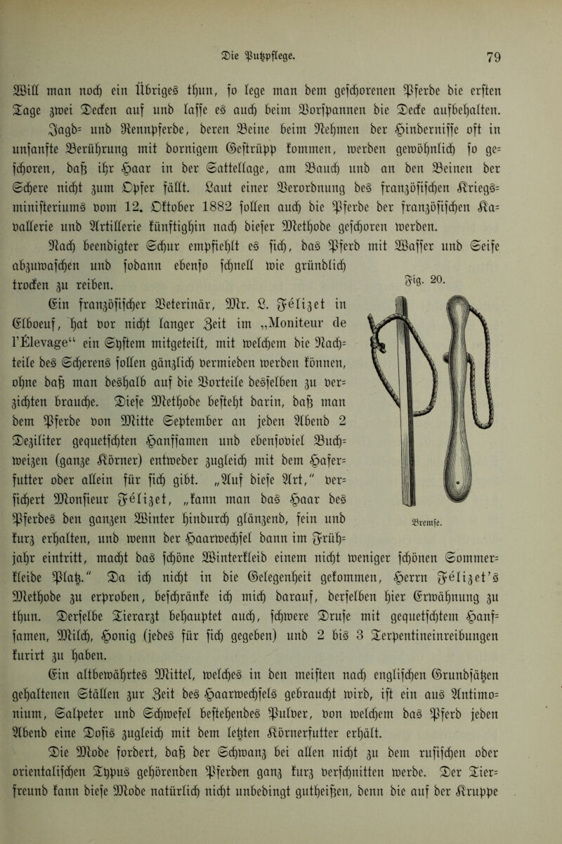 SQSiH man nod) ein Übriges tfjun, fo fege man bem gefrorenen *Pferbe bie erften Sage gtoei Seden auf unb taffe es auch beim ü&orfpannen bie Sede aufbehalten. 3agb= unb Otennpferbe, bereu 33eine beim Aehmen ber §inberniffe oft in unfanfte ^Berührung mit hornigem ©eftrüpp fomrnen, toerben getDöfjttlitf) fo ge= froren, bafj ifjr §aar in ber ©attellage, am Jöaudj unb au ben deinen ber ©cpere nid)t gum Opfer fällt, ßaut einer !Berorbnung beS fran^öfifd^en <®riegS= minifteriumS Oom 12. Oftober 1882 foHen aud) bie *Pferbe ber fran^öfifc^ert <®a= oaüerie unb Artillerie fünftighin nach biefer 9H;et^obe gefroren toerben. Aad) beenbigter ©d)ur empfiehlt e§ fid), ba§ *Pferb mit Söaffer unb ©eife abgutoafdjen unb fobanu ebenfo fdjneü toie grürtblicf) troden gu reiben. ©in frangöfifdjer Veterinär, 391r. & Selig et in ©Iboeuf, f)at Oor nicf)t langer 3eit im „Moniteur de 1’filevage“ ein ©pftem mitgeteilt, mit toeldjent bie Aad)= teile be§ ©cperenS foüen gänglid) Oermiebeu toerben fönnen, ohne bap man beS^alb auf bie Vorteile beleihen gu Oer= gicf)ten brauche. Siefe 3Jtetf)obe befielt barin, baf3 man bem ^Pferbe Oon 3JUtte ©eptember an jeben Abenb 2 ®e^iliter gequetfd^tert §anffamen unb ebenfoOiel 23ud)= toeigen (gange Körner) enttoeber gugleid) mit bem §afer= futter ober allein für fid) gibt. „Auf biefe Art/' oer= fiebert Sltonfieur Selig et, „fann man baS §aar be§ *Pferbe§ ben gangen Sßinter hinburd) gläugeub, fein unb furg erhalten, unb trenn ber §aartoed)fel bann im 3riif)= jahr eintritt, macht baS fdjöne Söinterfleib einem nid)t toeniger fdjönen ©ommer= fleibe $ptat}. Sa id) nicht in bie Gelegenheit gefommen, §errn S^liget’S 39tetpobe gu erproben, befdjränfe id) mich barauf, berfelben f)ier ©rtoähnung gu tpun. Serfelbe Sierargt behauptet aud), fdjtoere Srufe mit gequetfd)tem §anf= famen, SCTlildb), §onig (jebeS für fid) gegeben) unb 2 bis 8 Serpentineiureibungen furirt gu haben. ©in altbewährtes Mittel, toeltheS in ben meiften nach englifcpen ©runbfä|en gehaltenen ©täUen gur 3eit beS §aartoed)felS gebraust toirb, ift ein aus Antimo= nium, ©alpeter unb ©djtoefel befteljenbeS Knitter, Oon welchem baS *Pferb jeben Abenb eine Sofis gugleich mit bem lebten «föörnerfutter erhält. Sie 9Jtobe forbert, bafj ber ©(htoang bei allen nicht gu bem rufifd)en ober orientalifdjen SppuS gehörenben gerben gang furg Oerfdjnitten toerbe. Ser Sier= freunb fann biefe -Dtobe natürlich nicht unbebingt gutheifjen, beuu bie auf ber Gruppe ^ig. 20. 23rentfe.