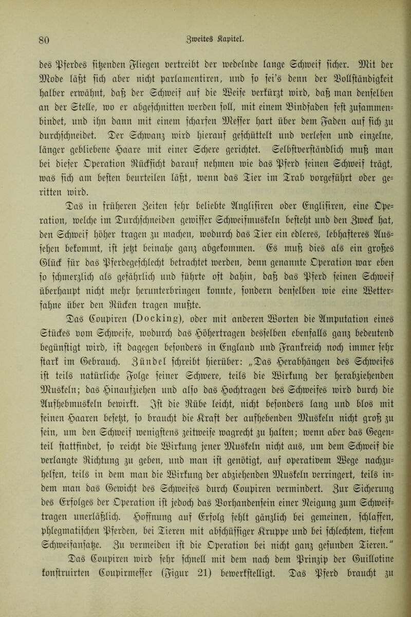beS ^ßferbeS fi^enbert Siegen Vertreibt ber toebelrtbe lange ©djtoeif fieser. 9Düt ber Sttobe läfjt fid) aber nid)t parlamentiren, unb fo fei’S bettn ber SSotlftänbigfeit falber ermähnt, bafj ber ©chtoeif auf bie Söeife Verfügt toirb, bafj man benfetben an ber ©tede, too er abgefcfinitten toerben fod, mit einem 33inbfaben feft 3ufammen= binbet, unb itjn bann mit einem fdjarfen SQteffer ^art über bem {yaben auf fidj ^u burcb)jtf)neibet. 2)er ©chtoans toirb hierauf gerüttelt unb Verlefen unb einzelne, länger gebliebene Raare mit einer ©djere gerichtet, ©elbftverftünblich mufj man bei biefer Operation 9tüdfid)t barauf nehmen toie baS *Pferb feinen ©djtoeif trägt, toaS fid) am beften beurteilen läf$t, toenn baS Xier im £rab vorgeführt ober ge= ritten toirb. 3)aS in früheren Seiten fehr beliebte Anglifiren ober ©nglifiren, eine Ope= ration, ioelche im ®urdjfd)neiben getoiffer ©chtoeifntuSfeln beftefjt unb ben 3toed hat, beu ©chtoeif Iföfjer tragen gu machen, tooburch baS £ier ein ebtereS, lebhafteres AuS= fef)en befommt, ift jet^t beinahe gan^ abgefommen. ©S muf) bieS als ein großes ©lüd für baS $ferbegefd)ledjt betrachtet toerben, benn genannte Operation mar eben fo fchmerglich als gefährlich unb führte oft bahin, bafj baS $ferb feinen ©chtoeif überhaupt nicht mehr henmterbringen fonnte, fonbern benfetben toie eine 2ßetter= fahne über beu Dlüden tragen rnufjte. $)aS ©oupiren (Docking), ober mit auberen SBorten bie Amputation eines ©tüdeS Vom ©djtoeife, tooburch baS Roherträgen beSfetben ebenfalls gan$ bebeutenb begünftigt toirb, ift bagegen befonberS in ©nglanb unb ^ranfreidj no(h immer fehr ftart im ©ebraud). Sünbet fdjreibt hierüber: „£)aS Rerabhängen beS ©ditoeifeS ift teils natürti(he Qfolge feiner ©d)toere, teils bie SBirfung ber hera^3lehenbert ÜDtuSfeln; baS Rinaufgiehen unb alfo baS Rodjtragen beS ©chtoeifeS toirb burd) bie AufhebmuSleln betoirft. 3ft bie Olübe teid)t, nicht befonberS lang unb bloS mit feinen Raaren befetjt, fo braucht bie ^raft ber aufhebeuben ÜDütSfeln nicht grof$ fein, um ben ©d)toeif toenigftenS geittoeife tüagredjt §u halten; toenu aber baS ©egen= teil ftattfinbet, fo reicht bie Söirfung jener SJtuSfeln nicht aus, um bem ©chtoeif bie terlangte Dichtung gu geben, unb man ift genötigt, auf operativem SBege nachsu= helfen, teils in bem mau bie SBirtung ber abgiehenben 9!JtuSfeln verringert, teils in= bem man baS ©etoidjt beS ©djtoeifeS burd) ©oupiren Verminbert. 3nr ©icherung beS ©rfolgeS ber Operation ift jeboef) baS $orhanbenfein einer Aeigung gum ©chtoeif= tragen unerläplid). Roffnuug auf ©rfolg fehlt gänglid) bei gemeinen, fdjtaffen, phlegmatifthen ^ferben, bei Vieren mit abfdjüffiger Gruppe unb bei fcRledhtem, tiefem ©djtoeifanfahe. 3n Vermeiben ift bie Operation bei nicht gan^ gefunben Vieren. OaS ©oupiren toirb fehr fdjnell mit bem nach bem ^ringip ber ©uidotine fonftruirten ©oupirmeffer ßigur 21) betoerffteüigt. 2)aS ^ferb braucht gu