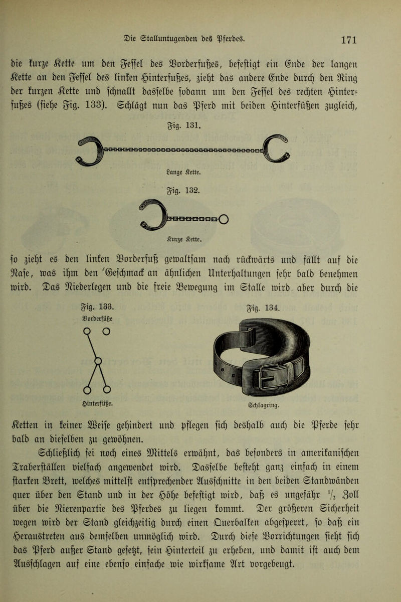 bie furge $ette um ben ^effel beS $orberfußeS, befeftigt ein (Snbe ber langen $ette an ben fjeffel beS linfen Hinterfußes, gieht baS anbere (£nbe burd) ben Otirtg ber fttrgen $ette nnb fchnaüt ba^felbe fobann nm ben beS regten Hinter- fußes (fieße $ig. 133). Schlägt nun baS *Pferb mit beiben Hinterfüßen gugleid), m 131. furje Äette. fo gie^t eS ben tinten ^orberfuß getoaltfam nad) rüdtoärts nnb fällt auf bie ÜKafe, tt>aS ihm ben '©efd)mad an ähnlichen Unterhaltungen feßr halb benehmen toirb. £>aS ütieberlegen nnb bie freie 23etoegung im Stalle toirb aber burd) bie Stg. 13B. $ig. 134. Hinterfüße. @ct)Iagting. betten in feiner Söeife geßinbert nnb bftegen fid) beShalb and) bie ^ßferbe fehr halb an biefelben gu gewöhnen. 6d)ließlid) fei nodj eines Mittels ermähnt, baS befonberS in amerifanifdjen £raberftäden bielfad) angeioenbet mirb. SDaSfelbe befteht gang einfach in einem ftarfen SSrett, meines mittelft entfbredjenber 9tuSfdjnitte in ben beiben ©tanbmänben quer über ben ©tanb nnb in ber §öhe befeftigt toirb, baß es ungefähr % 3oü über bie -ftierenbartie beS *PferbeS gu liegen fommt. S)er größeren ©idjerheit loegen toirb ber ©taub gleid)geüig burd) einen Qnerbalfen abgefyerrt, fo baß ein Heraustreten ans bemfelben unmöglich toirb. £)urd) biefe Vorrichtungen fießt fid) baS $ferb außer ©taub gefeßt, fein Hinterteil gu erheben, nnb bamit ift anth bem 2luSfd)lagen auf eine ebenfo einfache toie mirffame 51rt borgebeugt.