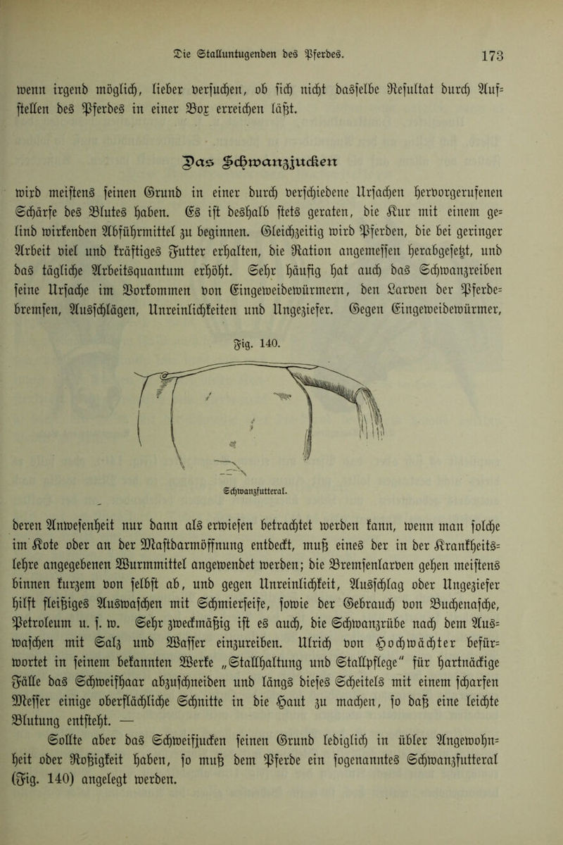 loenn irgenb mögtid), lieber Derfud)en, ob fidj nidjt ba§fetbe fRefuItat burcf) 2tuf= ftetten be3 $ferbe3 in einer $805 erreichen läßt. Jas g>c§xx>anfoxx&en loirb meiften3 feinen ©runb in einer burd) Derfd)iebene Urfadjen fjerDorgerufenen Schärfe be3 23tute3 tjaben. ©3 ift be^alb ftetS geraten, bie <®ur mit einem ge= linb loirfenben 2tbfüt)rmittel 31t beginnen, ©teid^eitig loirb gerben, bie bei geringer Arbeit Diel unb fräftigeS Butter erhalten, bie Nation angemeffeit f)erabgefe|t, nnb ba3 tägliche 9lrbeit3qnantum erl)öf)t. ©etjr häufig f)at aud) ba§ ©djioanzreiben feine Urfadje im 23orfommen Don ©ingeloeibeloürmern, ben ßarDen ber $ferbe= bremfen, 2lu3fd)Iägen, Unreintid)teiten unb Ungeziefer, ©egen ©ingeloeibeloürmer, 3ig. 140. beren 2lnloefenf)eit nur bann at3 erloiefen betrachtet loerben tann, loenn man fotcfje im <®ote ober an ber 9Jtaftbarmöffnnng entbecft, mujz eines ber in ber <®rantfjeitS= lehre angegebenen Söurmmittel angeioenbet loerben; bie SSremfentarDen gehen meiftenS binnen ludern Don felbft ab, unb gegen Unreintidjfeit, 2luSfd)tag ober Ungeziefer fjilft fleißiges 5luSloafd)en mit ©djntierfeife, foloie ber ©ebraudf) Don 23udjenafd)e, Petroleum u. f. io. ©et)r ziDedtmäfjig ift e§ and), bie ©d)loanzrübe nadf) bem 2tuS= loafdfjen mit ©atz unb Söaffer einzureiben. Ulrich Don §od}loädf)ter befür= loortet in feinem befannten Söerte „ ©tattfjattung unb ©tattpftege für Kjartnäctige Säfte baS ©djloeifljaar abzufd)neiben unb längs biefeS ©d)eitelS mit einem fd£)arfen StReffer einige oberflächliche ©djnitte in bie §aut zu machen, fo ba§ eine leichte ^Blutung entftetjt. — ©ottte aber baS ©djloeifjucfen feinen ©rnnb lebiglid) in übler 2tngelüot)n= heit ober ^ftojzigteit tjaben, fo mufj bem ^ßferbe ein fogenannteS ©d)loanzfutteral @ig. 140) angelegt loerben.