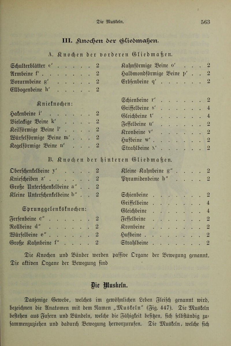 III. ^«ocßen 5er <g>tiebm<x$en. A. knochen ber öorberen ©liebmaf3en. (Schulterblätter e' 2 2lrmbeine f' 2 $orarmbeine g' ..... 2 ©llbogenbeine h' 2 kniefnodjjen: §a!enbeine i' 2 beledige 23eine k' .... 2 keilförmige SBeine T .... 2 Würfelförmige 23eine m' . . . 2 kegelförmige 23eine n' ... 2 B. knocfjen ber Hinteren ©liebma^en. Oberfd)enfelbeine y' .... 2 kleine kalmbeine g . . . . 2 kniefdjeiben z' . 2 *ßt)ramibenbeine h .... 2 ©rojze Unterfdjenfelbeine a . . 2 kleine Unterfd)enfelbeine b . . 2 Schienbeine 2 ©riffeibeine 4 ©prunggelenfäfnocfien: ©leidjfceine 4 ^erfenbeine c 2 ^effelbeine 2 IRoHbeine d ...... 2 kronbeine 2 Würfelbeine e 2 §ufbeine 2 ©rofce kafjnbeine f .... 2 ©traljlbeine 2 ®ie knodjen unb Räuber werben paffiüe Organe ber ^Bewegung genannt. 2)ie altiöen Organe ber ^Bewegung finb $ic Pushelm dasjenige ©etrebe, toelche^ im gewöhnlichen ßeben fyleifch genannt wirb, bezeichnen bie Slnatomen mit bem tarnen „9Jlu3feln (3?ig. 447). 2)ie ÜDlu§feln beftehen au3 $afern unb SBünbeln, welche bie gäljigfeit befi^en, ftdj felbftänbig zu= fammenzuziehen unb baburd) ^Bewegung h^öorzurufen. Oie üDluSfeln, welche fidj kahnförmige 23eine o' ... 2 §albmonbförmige SBeine p' . . 2 ©rbfenbeine q' 2 Schienbeine r' 2 ©riffeibeine s' 4 ©leichbeine t' 4 fjeffelbeine u' 2 kronbeine v' 2 §ufbeine w' 2 ©trahlbeine x' 2