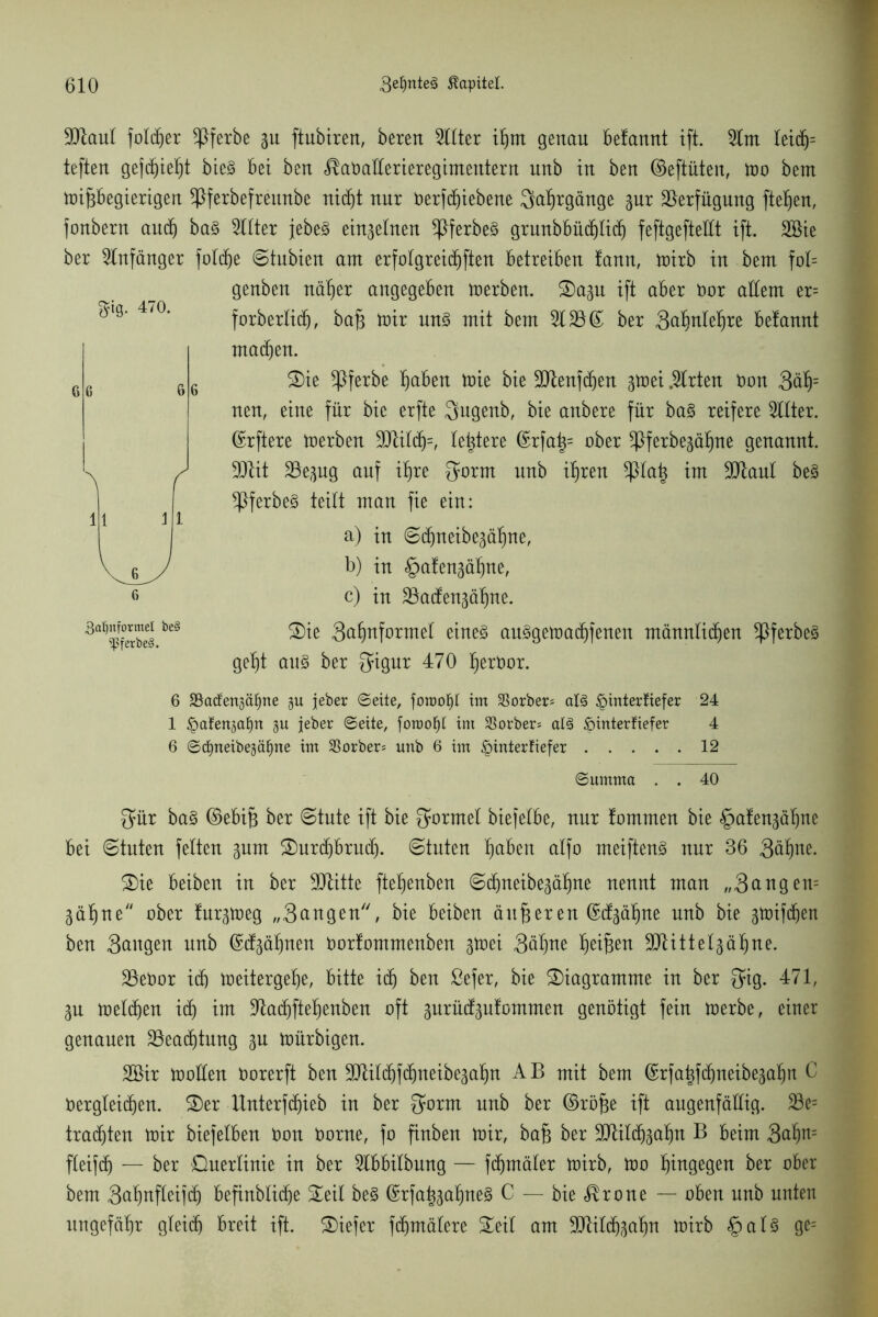 3Jlaul foli^er *Pferbe gu ftubiren, berert 511ter ihm genau befannt ift. 51m leidj= teften gejdhießt bte§ bet ben ^atJaHerieregtmentern unb in ben ©eftüten, mo bem mißbegierigen ^ferbefreunbe nicht nur Derfdjiebene Saßrgänge gur Verfügung fielen, fonbern auch ba§ 511ter jebeS einzelnen *Pferbe§ gmubbüchlidj feftgeftettt ift. 2öte ber Anfänger foldje ©tubien am erfo!greicf)ften betreiben lann, mirb in bem fol= genben näßer angegeben merben. Sa^u ift aber Dor allem er= forberlid), baß mir uns mit bem 5155© ber Saßnleßre belannt matten. Sie *Pferbe ßaben mie bie SQlenfc^en ^mei .51rten Don 3äß= neu, eine für bie erfte Sugenb, bie anbere für baS reifere 511ter. ©rftere merben 5ttilch=, leßtere ©rfaß= ober ^ferbegäßne genannt. 5Jtit 25epg auf ißre $orm unb ißren *piaß im Sttaul beS ^PferbeS teilt man fie ein: a) in ©djneibeaäßne, b) in §aten§äßne, c) in SSatfengäßne. Sie Sa'hnformel eines auSgemadjfenen männlichen *PferbeS geßt aus ber $igur 470 ßertmr. 6 SSaüengä^ne §u jeber ©eite, foraoE)! im Korber* als £>interfiefer 24 1 §atensaE)n ju jeber ©eite, foroofyl im Korbers als öinterfiefer 4 6 ©djneibegäfine im Sßorbers unb 6 im £>interfiefer 12 ©umma . . 40 $ür baS ©ebiß ber ©tute ift bie Formel biefelbe, nur lommen bie ^afen^ähne bei ©tuten feiten ^urn Surchbrud). ©tuten ßaben alfo meiftenS nur 36 Säßne. Sie beiben in ber ülUtte fteßenben ©c^neibe3äf)ne nennt man „3ci ng en= jäßne ober lurgtoeg „Sangen'', bie beiben äußeren ©d^äßne unb bie gmifchen ben Sangen unb ©dgäfjnen Oorlommenben gtoei Säßne Reißen SJlittelgä^ne. 55eOor ich meitergeße, bitte ich ben ßefer, bie Siagrantme in ber $ig. 471, 3U melden ich im üftacßfteßenben oft gnrücf^ulommen genötigt fein merbe, einer genauen 55ead)tung ^u mürbigen. 2Bir tooüen Oorerft ben ^ilißfcßneibegaßn AB mit bem ©rfaßfcßneibegaßn C Dergleichen. Ser ltnterfdjieb in ber Qorm unb ber ©röße ift augenfällig. 53e= trachten mir biefelben Don Dorne, fo finben mir, baß ber 9)tilcßgaßn B beim 3aßn= fleifdj — ber Suerlinie in ber 51bbilbnng — fdjmäler mirb, mo hingegen ber ober bem Saßnfleifch befinbliche Seil beS ©rfaßgaßneS C — bie ^rone — oben nnb unten ungefähr gleich breit ift. tiefer fdßmälere Seil am üDlild^aßn mirb §alS ge= $ig. 470. 6 6 6 6 A f 11 i l 6 3al)nformel be§ ^ßferbe§.