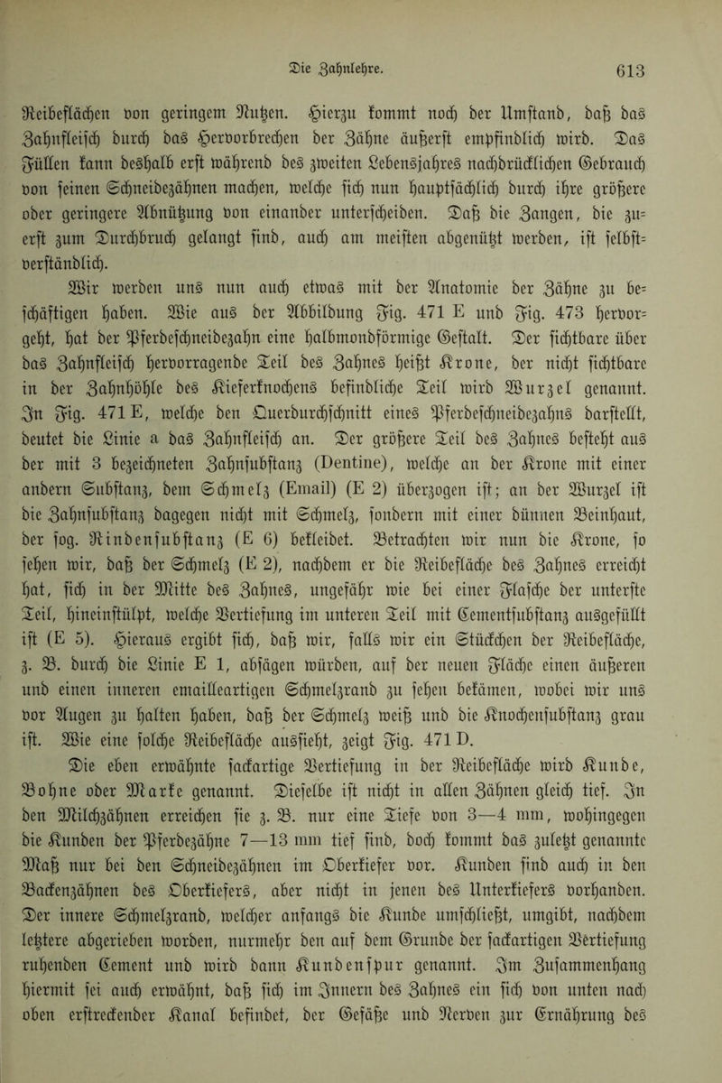 fReibefXä(f)en Dort geringem Vn^en. ^tergu fommt nod) ber Umftanb, bafc baS 3al)ufteifd) burdj baS §erborbred)en ber 3äl)ne äufjerft embfinblid) mirb. SaS füllen fann beSl)alb erft toä^renb beS feiten ßebenSjafjreS nad)brüdtid)en ©ebraud) oon feinen ©cbneibegäljnen madjen, meldje fid) nun Ijauptfädjtid) bnrd) iljre größere ober geringere Vbnüt^ung bon einanber nnterfdjeiben. Safj bie Sangen, bie 3m erft 3um Surdjbrud) gelangt finb, auch am meiften abgenützt merben, ift felbft= berftänbtidj. 2öir merben uns nun and) etmaS mit ber Anatomie ber 3ä^ne 31t be= fdjäftigen fiaben. SBie aus ber Vbbilbmtg 3ig. 471 E unb Qfig. 473 l)erbor= getjt, t)at ber ^Iferbefctineibega^n eine fjalbmonbförmige ©eftalt. Ser fitfjtbare über baS 3<*f)ttfteifcfj l)erborragenbe Seil beS 3^ne§ Ijeifjt <$rone, ber nicf)t fidjtbare in ber 3aWöIjle beS $;ieferfnod)enS befinblidje Seil mirb Sßur^el genannt. 3n ^ig. 471E, meldje ben Querburd)fdjnitt eines *Pferbefd)neibe3al)nS barfteüt, beutet bie ßinie a baS 3a^nfleifcf) an. Ser größere Seit beS 3at)ne§ befielt aus ber mit 3 bejeic^neten 3cdmfubftan3 (Dentine), meldje an ber $rone mit einer anbern ©ubftanj, bem ©d)mel3 (Email) (E 2) überzogen ift; an ber SBnrgel ift bie 3al»nfubftan3 bagegen nidjt mit @djmet3, fonbern mit einer bünnen Veinfiaut, ber fog. Vinbenfubftan3 (E 6) befleibet. Vetradjten mir nun bie <$rone, fo feljen mir, bafj ber 6d)mel3 (E 2), nadjbem er bie fReibefläd^e beS 3al)ne§ erreicht f)at, fid) in ber SUtitte beS 3al)neS, ungefähr mie bei einer $tafd)e ber nnterfte Seit, Ijineinftüfyt, meldje Vertiefung im unteren Seil mit ©ementfubftan3 auSgefüÜt ift (E 5). hieraus ergibt fid), baf} mir, falls mir ein ©tüddjen ber Veibeffädje, 3. V. bnrd) bie ßinie E 1, abfägen mürben, auf ber neuen 34ädjc einen äußeren nnb einen inneren emailleartigen 6d)mel3ranb 3U feljen befämen, mobei mir uns bor klugen 31t Ratten fjaben, ba§ ber Sd)mel3 meifj nnb bie $nod)enfubftan3 grau ift. 2Bie eine foldje Veibeflädje anSfieljt, 3eigt $ig. 471D. Sie eben ermähnte fadartige Vertiefung in ber Veibeftädje mirb $nnbe, Vo^ne ober Vtarle genannt. Siefelbe ift nidjt in allen Sännen gleich) tief. 3n ben Vtild)3äf)nen erreichen fie 3. V. nur eine Siefe bon 3—4 mm, mofjingegen bie <®unben ber $ferbe3äl)ne 7—13 mm tief finb, bodj tommt baS 3ule^t genannte Vtaf) nur bei ben @d)neibe3äl)nen im Dbertiefer bor. <®unben finb and) in ben Vaden3äl)nen beS DberÜeferS, aber nicf)t in jenen beS ItnterfieferS borljanben. Ser innere ©djme^ranb, meldjer anfangs bie ^nnbe nmfdjliefjt, umgibt, nadjbem letztere abgerieben morben, nurmeljr ben auf bem ©runbe ber fadartigen Vertiefung ruljenben ©ement nnb mirb bann ^unbenfbnr genannt. 3m 3ufammenl)ang hiermit fei and) ermähnt, baf) fid) im Qnnertt beS 3aI)neS ein fid^ bon unten nad) oben erftredenber $anal befinbet, ber ©efäfje unb Verben 3m; ©rnäljrung beS