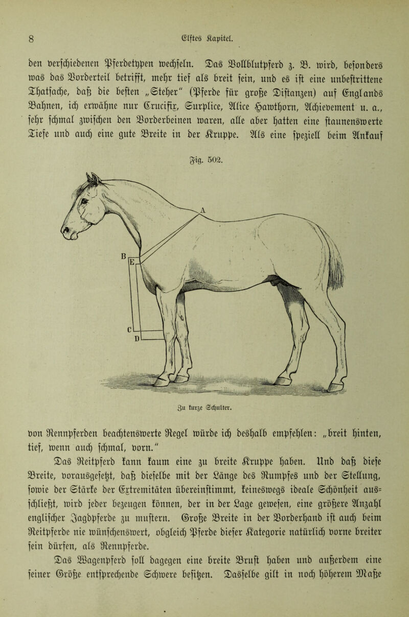 ben Uerfdjiebenen SPferbetWen medrfetn. SMBlutBferb 3. 23. toirb, BefonberS ma§ ba§ 23orberteit Betrifft, mef)r tief als Breit fein, unb e3 ift eine unBeftrittene Stjatfadje, ba£ bie Beften „©te^er (^Pferbe für grojäe Siftanaen) auf ©nglanbs 23af)nen, id) ermähne nur ©rucife ©urBlice, 2Hice §amtIjorn, 2Id)iet>erneut u. a., fefir fdjmal steiften beu 23orberBeinen maren, alle aber Ratten eine ftaunen^U) erte £iefe unb and) eine gute Breite in ber Är'upt)e. 21(3 eine fBeaieft Beim 2lnfauf non 9fteuuBferbeu Beadjten3toerte Siegel mürbe ic^) beSljalB emBfef)len: „Breit fjinten, tief, iueuu and) fdjmal, norn. £)a§ SfteitBferb tauu taum eine au Breite <®ruBBe (jaBen. Unb ba^ biefe 23reite, Oorau3gefe|t, baja biefelBe mit ber Säuge be§ 2^umBfe3 unb ber ©teftung, fotoie ber ©tärfe ber ©jtremitäten üBereiuftimmt, feine3toeg§ ibeale ©d)ön()eit au3= fdf)tie^t, mirb jeher Beaeugeu töuueu, ber in ber Sage getoefen, eine größere 2lnaaljl englifcfjer QagbBferbe au mufteru. ©rofce 23reite in ber 23orberf)anb ift audj Beim fReitBferbe nie ttmnfdjenötoert, oBgleidj *Pferbe biefer Kategorie natürlich Oorne Breiter fein bürfeu, a(3 ÜlennBferbe. 2)a3 SöageuBferb foü bagegeu eine Breite 23ruft IjaBen unb aufjerbent eine feiner ©röjae entfBredjenbe ©dimere Befi^eu. £)a§fe(Be gilt in nodj Böserem üKtajje gig. 502. 3u für je Schulter,