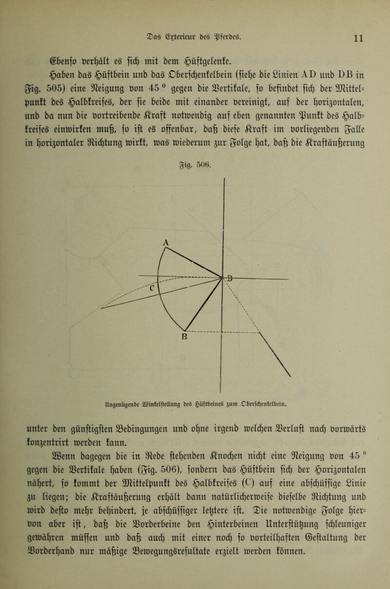 (gbenfo oerfjält eg fid) mit bem hüftgelenfe. haben bag Hüftbein unb bag Dberfchenfelbein (fte^e bießinien AD unb DB tu gig. 505) eine Neigung non 45 0 gegen bie $ertifale, fo befinbet fid) ber 3JtitteI= punft beg halbfreifeg, ber fie beibe mit einanber oereinigt, auf ber Ijorizontalen, unb ba nun bie oortreibenbe $raft notwenbig auf eben genannten ^ßunft beg §atb= freifeg einwirfen muft, fo ift eg offenbar, bafi biefe «Kraft im Oortiegenben gatte in horizontaler Dichtung wirft, trag wieberum zur golge ^at, bafz bie Kraftäu^erung ^ig. 506. Uttgenügenbe 2Bin!eIfteüung be3 §üft6etiteä jum DberfdjenMbein. unter ben günftigften üöebingungeu unb ofjne irgenb tüelc^en $erluft nad) oorwärtg fonzentrirt werben fann. Söenn bagegen bie in IRebe fte^enben «Knochen nid^t eine Neigung Oon 45 0 gegen bie $ertifale haben (gig. 506), fonbern bag §üftbein fid) ber horizontalen nähert, fo fommt ber SOlittelpunft beg halbfreifeg (C) auf eine abfdhüffige ßinie Zu liegen; bie Kraftäufjerung erhält bann natürlicher weife biefelbe Dichtung unb wirb befto mehr behinbert, je abfcf)üffiger festere ift. 2)ie notwenbige gofge f)ier= Oon aber ift, ba§ bie ^Borberbeine ben tQintexhdmn Unterftü^nng fdjleuniger gewähren müffen unb baf$ aud) mit einer noch fo oorteilhaften ©eftalhtng ber 3ßorberf)anb nur mäßige 23ewegunggrefultate erzielt werben fönnen.
