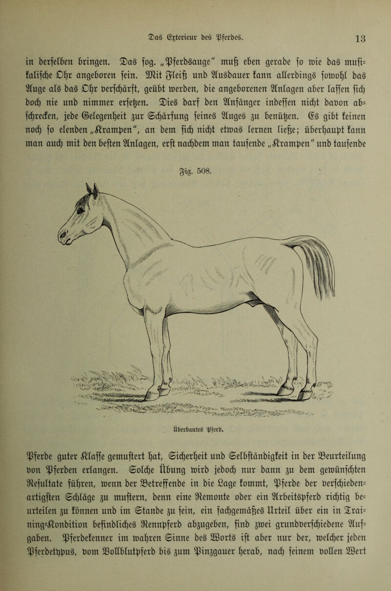 in berfetben Bringen. £)am fog. „*Pferbmauge muß eben gerabe fo tt>ie bam mufi= fatifcfje £% angeboren fein. Btit ^letß unb 2tumbauer fann alterbingm fotoofjl bam 2luge atm bam £% fcerfdfjärft, geübt toerben, bie angeborenen Anlagen aber taffen fidfj bocf) nie unb nimmer erfeßen. £)iem barf ben Anfänger inbeffen nicfjt baoon ab= fcfjrecfen, jebe (Gelegenheit gur ©cßärfung feinet Slugem p benüßen. @m gibt feinen nod) fo etenben „^ramßen, an bem fid& nicht eüoam lernen ließe; üb erlaubt fann man aucfj mit ben beften Anlagen, erft nad^bem man taufenbe „krampen unb taufenbe ^ig. 508. $ferbe guter klaffe gemuftert ßat, Sicherheit unb Selbftänbigfeit in ber Beurteilung Don ^Iferben erlangen. Solche Übung toirb jebocf) nur bann ^u bem geurnnfcßten fRefuttate führen, toenn ber Betreffenbe in bie Sage fommt, ^pferbe ber 0erfdjieben= artigften Schläge gu muftern, benn eine ^Remonte ober ein 2lrbeitmbferb richtig be= urteilen ^u fönnen unb im ©taube ju fein, ein fachgemäßem Urteil über ein in £rai= ning=«^onbition befinbtidbem Otennbferb abpgeben, finb ^toei grunböerfdhiebene 5luf= gaben. ^Pferbefenner im toaßren ©inne bem SBortm ift aber nur ber, metdjer jeben *Pferbetßbum, Dom Boübtutbferb bim gurn ^pin^gauer ßerab, nad) feinem Dollen Söert