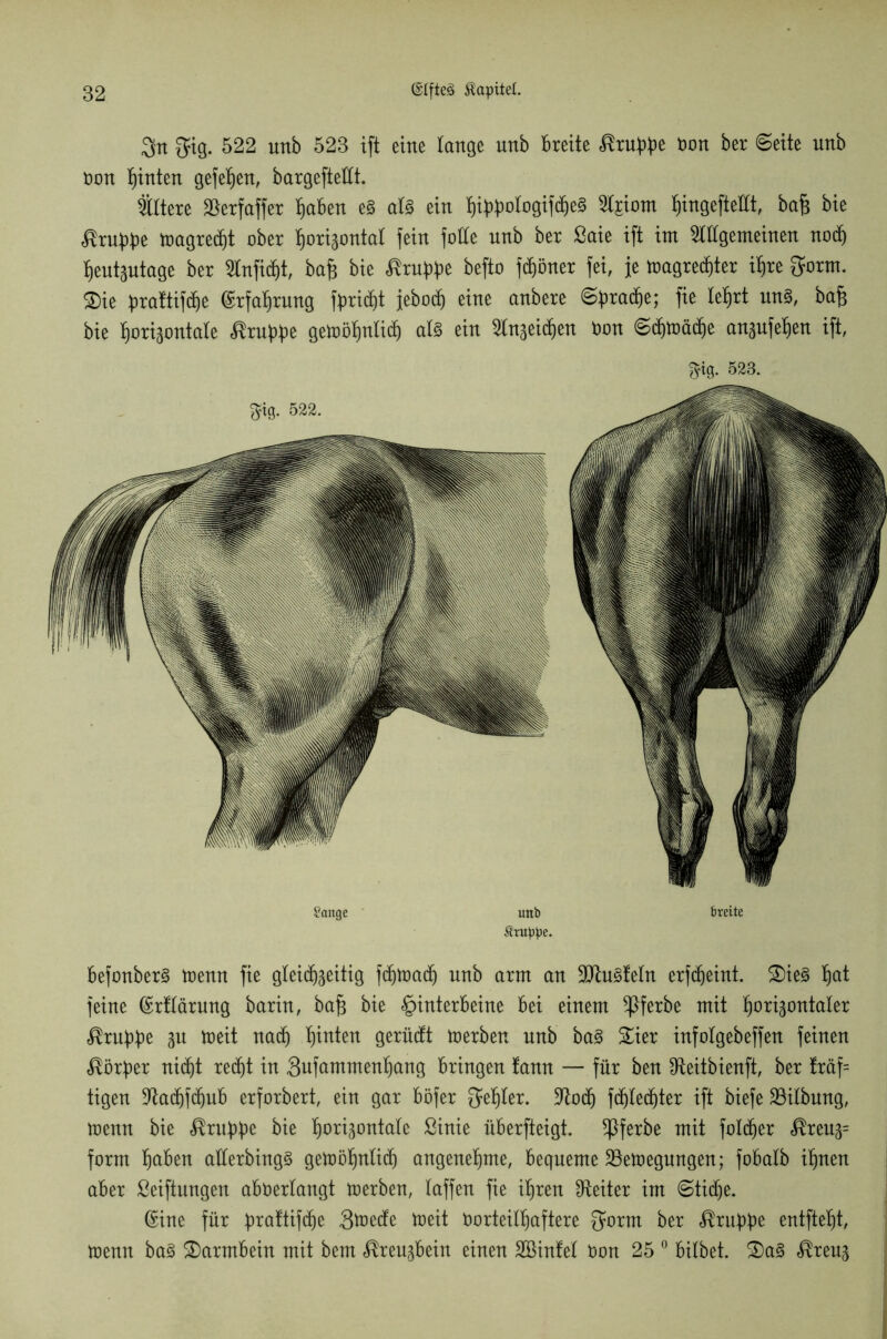 $n $ig. 522 unb 523 ift eine lange unb breite Stubbe üon ber Seite unb non hinten gefehen, bargefteHt. Ältere $erfaffer haben e§ al8 ein hibbologifcbeS 2t£iom hingeftellt, bafz bie ^rnbb^ toagrecfjt ober horizontal fein folle unb ber ßaie ift int OTgemeinen noch heutzutage ber 2tnficf)t, bafc bie tobbe befto fd^öner fei, je toagredjter ihre $orm. £)ie brattifdje Erfahrung fbridjt jebod) eine anbere Sbradje; fie lehrt itn§, bafz bie horizontale Krabbe gemöhnlid) als ein Stnzeidjen non Scfqoäthe anzufehen ift, $ig. 523. Sange unb breite Gruppe. befonberS toenn fie gleichzeitig fd&toa<^ unb arm an 3Jtu§feln erfc^eint. £>ie§ hat feine ©rflärung barin, bafz bie Hinterbeine bei einem ^ßferbe mit horizontaler $rubbe Zu toeit nach hinten gerüdt toerben unb ba§ £ier infolgebeffen feinen Korber nicht reiht in 3nfammenhang bringen fann — für ben fReitbienft, ber !räf= tigen 9fochfchub erforbert, ein gar böfer O^hter. üftod) fcfjled^ter ift biefe Gilbung, menn bie Krabbe bie horizontale ßinie überfteigt. ^ferbe mit foltfjer <®reuz= form haben aüerbing§ getoöhnlidj angenehme, bequeme 23etoegungen; fobalb ihnen aber Stiftungen abfcerlangt toerben, taffen fie ihren Leiter im Stidf)e. ©ine für braftifdje gtoedfe toeit Vorteilhaftere gortn ber $rubbe entftet)t, toenn ba§ Darmbein mit bem Kreuzbein einen SBinfet Oon 25 0 bitbet. £)a3 <®reuz