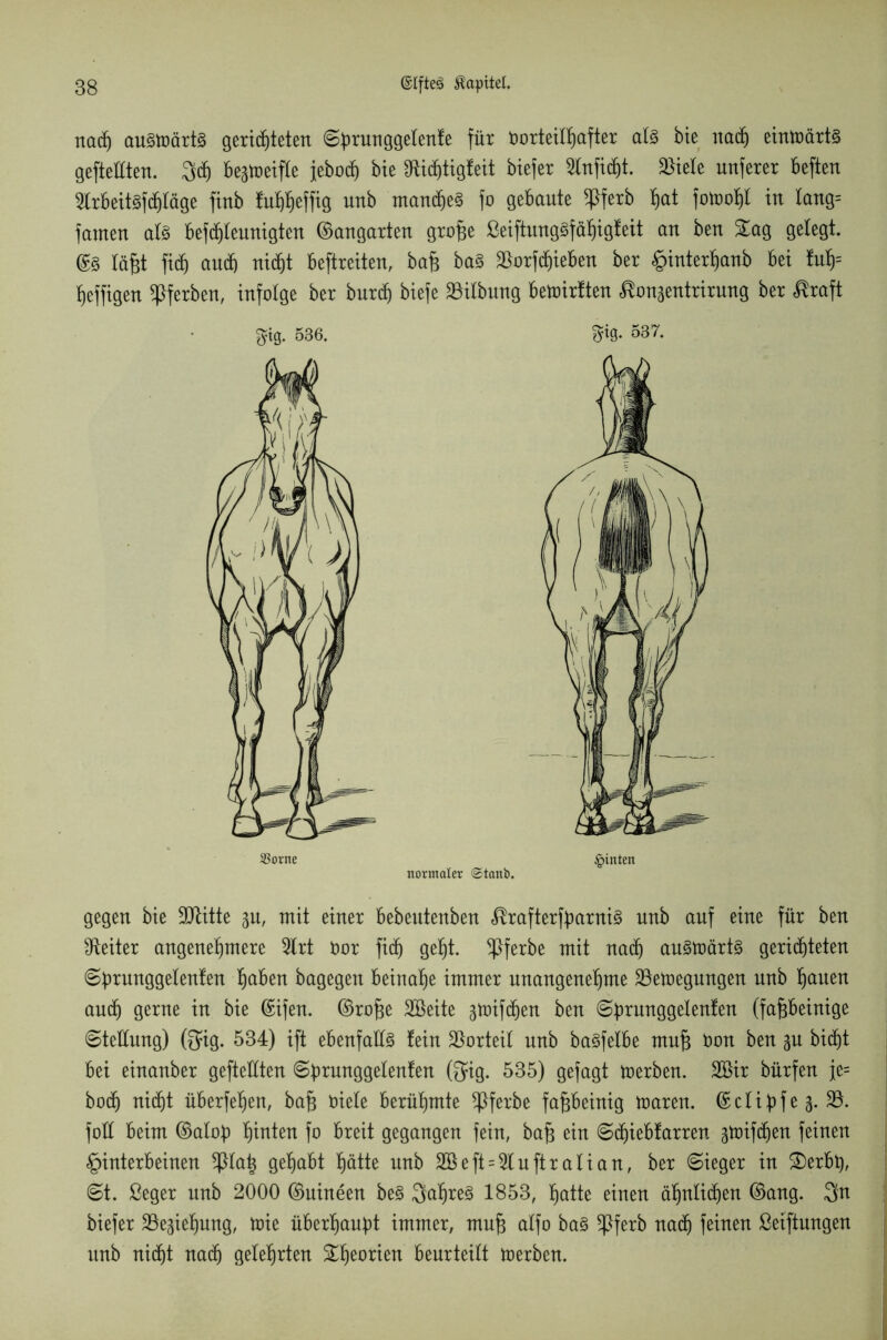 nach au§toärt3 gerichteten Sbrunggelenfe für Vorteilhafter al3 bie ttadh eintvärt§ gepellten. 3df) beatoeifle jebotf) bie föidjtigfeit biefer 2tnfidf)t. Spiele unferer beften 2lrbeit§fdhtäge finb fuhheffig unb manches fo gebaute <Pferb hat fotvohl in Iang= famen als befchleunigten ©angarten grope ßeiftungSffthigfeit an ben Sag gelegt. @3 läpt fi(f) andh nidht beftreiten, bap baS $orfdf)ieben ber Hinterhanb bei tuh= heffigen gerben, infolge ber bnrch biefe Gilbung betoirften ^onaentrirung ber ftraft gegen bie ÜDlitte au, mit einer bebeutenben <®rafterfbarniS unb auf eine für ben Leiter angenehmere 9lrt vor fid) geht. Sßferbe mit nach auStoärtS gerichteten Sbrunggelenfen haben bagegen beinahe immer unangenehme 23etvegungen nnb hauen andh gerne in bie Qüifen. ©rope SBeite aüüfchen ben Sbrunggelenfen (fafjbeinige (Stellung) @ig. 534) ift ebenfalls fein Vorteil unb baSfelbe map von ben au bicf)t bei einanber gepellten Sbrunggelenfen ©ig. 535) gefagt toerben. SBir bürfen je= hoch nidht überfehen, bap viele berühmte *ßferbe fapbeinig tvaren. ©clibfea-23- foll beim ©alob hauten fo breit gegangen fein, bap ein Sdpebfarren atüifdhen feinen Hinterbeinen *piap gehabt hätte unb 2öeft = 5lupralian, ber Sieger in Serbb, St. ßeger unb 2000 ©nineen beS Jahres 1853, hatte einen ähnlichen ©ang. 3n biefer Ziehung, tvie überhaubt immer, mup alfo baS *pferb nadh feinen Stiftungen unb nidht nach gelehrten Sheorien beurteilt tverben. ^tg. 536. m. 537. normaler <Stanb.
