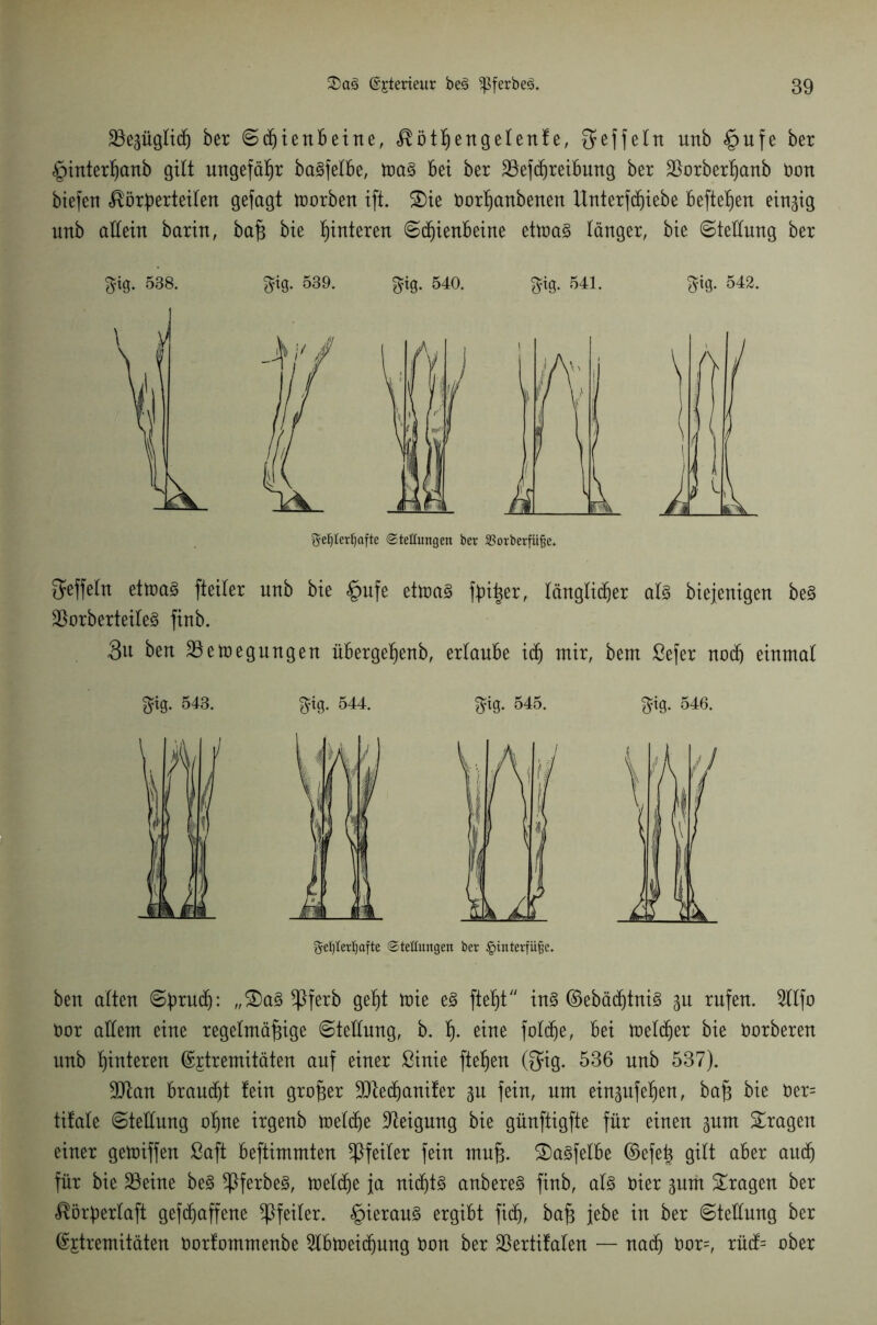 ^Be^üglich ber Schienbeine, Köthengelenle, $effeln unb §ufe ber §inter^anb gilt ungefähr ba^fetbe, foa§ bet ber SBefcßreibung ber SSorberßanb öon btefert Körperteilen gefagt toorben ift. S)ie öorßanbenen Unterziehe befielen einzig unb allein barin, baß bie Hinteren Schienbeine ettoa§ länger, bie Stellung ber $ig. 538. ^tg. 539. $ig. 540. £tg. 541. gig. 542. 3reljlerl)afte Stellungen ber 33orberfüfje. geffelu ettoaS fteiler unb bie §ufe ettoaS fpißer, länglicher als biejenigen be§ 23orberteite3 finb. 3u ben 23etoegungen iiberge^enb, erlaube ich mit, bem ßefer noch einmal m 543. $ig. 544. $ig. 545. £$?ig. 546. geljlerfjafte Stellungen ber Hinterfüße. ben alten Spruch: „3)a§ ^ßferb geßl toie e§ ließt in3 ©ebächtnis gu rufen. 2tlfo öor allem eine regelmäßige ©tedung, b. ß. eine foldje, bei melier bie öorberen unb ßinteren ©jtremitäten auf einer ßinie flehen (Qag. 536 unb 537). 9Jtan braucht tein großer üJJtechaniter ^u fein, um eingufeßeu, baß bie Der= tiiale ©tedung oßne irgenb melcße Neigung bie günftigfte für einen pm fragen einer gegriffen ßaft beftimmten Pfeiler fein muß. 2)a§felbe ©efeß gilt aber auch für bie 23eine be3 *ßferbe3, foelche ja nichts anbereS finb, als öier put fragen ber Körpertaft gefdjaffene Pfeiler. §ierau§ ergibt fidj, baß jebe in ber ©tedung ber ©jtremitäten üorfommenbe 2lbtt>eichung Don ber SSertifalen — nach t>or=, rücf= ober