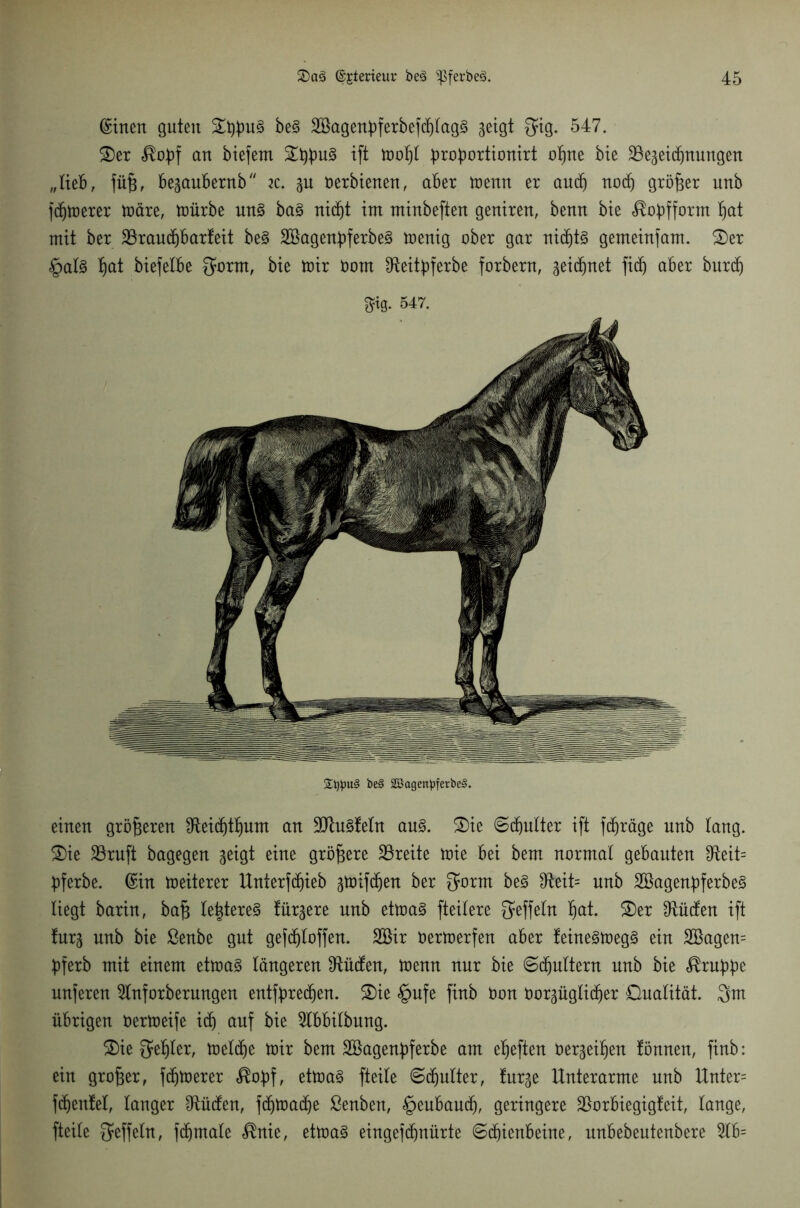 ©inen guten be§ SBagenpferbefdjtagS geigt $ig. 547. 2)er $obf an biefem ift mot)l proportionirt oljne bie SBegeidjnungen „lieb, füf3, begaubernb zc. gu oerbienen, aber menn er audj noch größer nnb fc^tüerer träte, mürbe mt3 ba§ nicht im minbeften geniren, benn bie ^oüfform hat mit bet 23rauä)bar!eit be3 2öagenbferbe§ menig ober gar nid^ts gemeinsam. £)er §al3 f)at biefelbe 3ornt, bie mir t)om IReit^ferbe forbern, geichnet fidj aber burcf) gig. 547. £t#u§ be§ 2Bagenpferbe§. einen größeren ^Reichttjum an 9Jtu§feln au3. 3)ie Schulter ift fdjräge nnb lang. $)ie Söruft bagegen geigt eine größere ^Breite mie bei bem normal gebauten $teit= bferbe. ©in meiterer Unterfdjieb gmlfdjen ber 3orm be3 fH:eit= nnb 2Bagenf)ferbe3 liegt barin, ba§ le|tere§ lürgere nnb etma§ fteilere fjeffeln Ihat. 2)er DUidfen ift !nrg nnb bie ßenbe gut gefdjloffen. 2öir Oermerfen aber feine§meg§ ein 2Bagen= bferb mit einem etmaS längeren ^liefen, menn nur bie Schultern nnb bie ^rnbbe nnferen 2lnforberungen entsprechen. 2)ie §nfe finb Oon Oorgüglicher Dualität. 3m übrigen Oermeife ich auf bie 9lbbilbung. 2)ie Segler, meldje mir bem Söagenbferbe am elften oergeiljen fönnen, finb: ein großer, fernerer fiojjf, etma§ fteile Schulter, furge Unterarme nnb Unter= fchenlel, langer Etüden, fdhmadje ßenben, §eubaudj, geringere 25orbiegigfeit, lange, fteile Qfeffeln, fdjmale $nie, etma§ eingefchnürte Schienbeine, nnbebeutenbere 3lb=