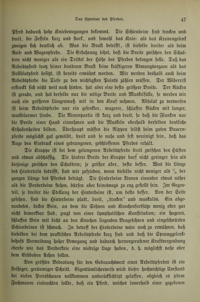 *Pferb baburdj Ihotje ^niebemegungen befommt. 2)ie Schienbeine finb trocfen unb breit, bie $effeln !urg unb ftart, unb fomofyt baS $nie= als baS <®ronengelenf gmeigen fidj beutlidj ab. 2öaS bte 23ruft betrifft, ift biefelbe breiter als beim IReit= unb SBagenpferbe. 2)ie ©rfat)rung lehrt, ba£ bie 33reite gmifdjen ben Sdjut= tern rtic^t meniger als ein drittel ber Höhe beS ^PferbeS betragen foRe. 2)af} baS 2lrbeitSpferb tro| feiner breiteren 23ruft teine fräftigeren 2ltmungSorgane als baS •£oRblutbferb befi^t, ift bereite ermähnt morben. SBir merben beStjalb and) beim 3Irbeit§p)ferbe bie £iefe gu ben michtigften ^Points gälten muffen. 2)er SBiberrift erftreRt fid) nicht meit nad) hinten, f)at aber eine befto größere ^Breite. S)er Otüifen ift gerabe, unb t)at berfelbe nur bie nötige Breite unb llftuSfetfüRe, fo merben mir aud) ein grö&ereS ßängenmajg mit in ben $auf nehmen. 2tbfolut gu Oermerfen ift beim 2trbeitSf)ferbe nur ein gefetteter, magerer, fd)laffer Otücfen mit tanger, muStelarmer ßenbe. S)ie 9Herenf)artie ift furg nnb breit, fo bafc bie ^laufen nur bie Breite einer §anb einnehmen nnb bie SttuSteln oberhalb berfelbett bentticfje ©rljabenheiten bilbert. Überhaupt muffen bie Hibben felbft beim guten 23auern= bferbe möglidhft gut gemötbt, breit nnb fo nahe unb feft oereinigt fein, baf; baS Wnge ben ©inbruct eines gebrnngenen, gefchloffenen ^PferbeS erhält. £)ie ^rubbe ift bei bem gelungenen 2trbeitSbferbe breit gmifdjen ben §üften unb etmaS abfd^üffig. £)ie fjintere Breite ber <®rubbe barf nid)t geringer fein als biefenige gmifdjen ben Sdjultern; je größer aber, befto beffer. RöaS bie ßänge beS §interteit§ betrifft, finb mir gufrieben, menn biefetbe nicht meniger als % ber gangen ßänge beS ^ferbeS beträgt. 2)ie Hinterbeine fönnen einanber etmaS näher als bie SSorberbeine fielen, bürfen aber teineSmegS gu eng geftettt fein. 3m ©egen= teit, je breiter bie Stellung ber Hinterbeine ift, um befto beffer. $on ber Seite gefefjen, finb bie Hinterbeine blatt, breit, „troRen nnb muStulöS. ©in abge= runbeteS, biReS 33ein, an bem bie Setmen nnb ^noct)enfortfä|e menig ober gar nicht bemerfbar finb, gengt Oon einer l^mb^atifcfien ^onfütntion; ein tjagere3, fdjlaffeS S3ein mit bidjt an ben ^nodjen tiegenben SSengefetjnen nnb eingefctmürten Schienbeinen ift fchmad). 3n betreff ber Hinterbeine märe noch gu ermähnen, baf; biefelben bei bem bmttifdjen 5lrbeit^^)ferbe furg finb nnb baj3 bie Sbrunggelenfe behufs ü&ermeibung fmhe? SSemegmtg nnb baburdj h^borgernfener ^raftoergenbnng ebenfo mie baS $orberfnie eine niebrige Sage ^ben, b. h- möglidjft nahe ober bem ©rbboben fielen foRen. $on größter Söebeutung für ben ©ebraudjsmert eines 2trbeitSbferbeS ift ein fleißiger, geräumiger Stritt, ©igentümlidjermeife mirb biefer tjochmichtige Umftanb bei oielen *PreiSfdjauen OoRfommen unberüRfidjtigt gelaffen, obgleich es jebem Sadjmanne einlendhten foRte, bafj ein ^Pferb, meines innerhalb einer gegebenen