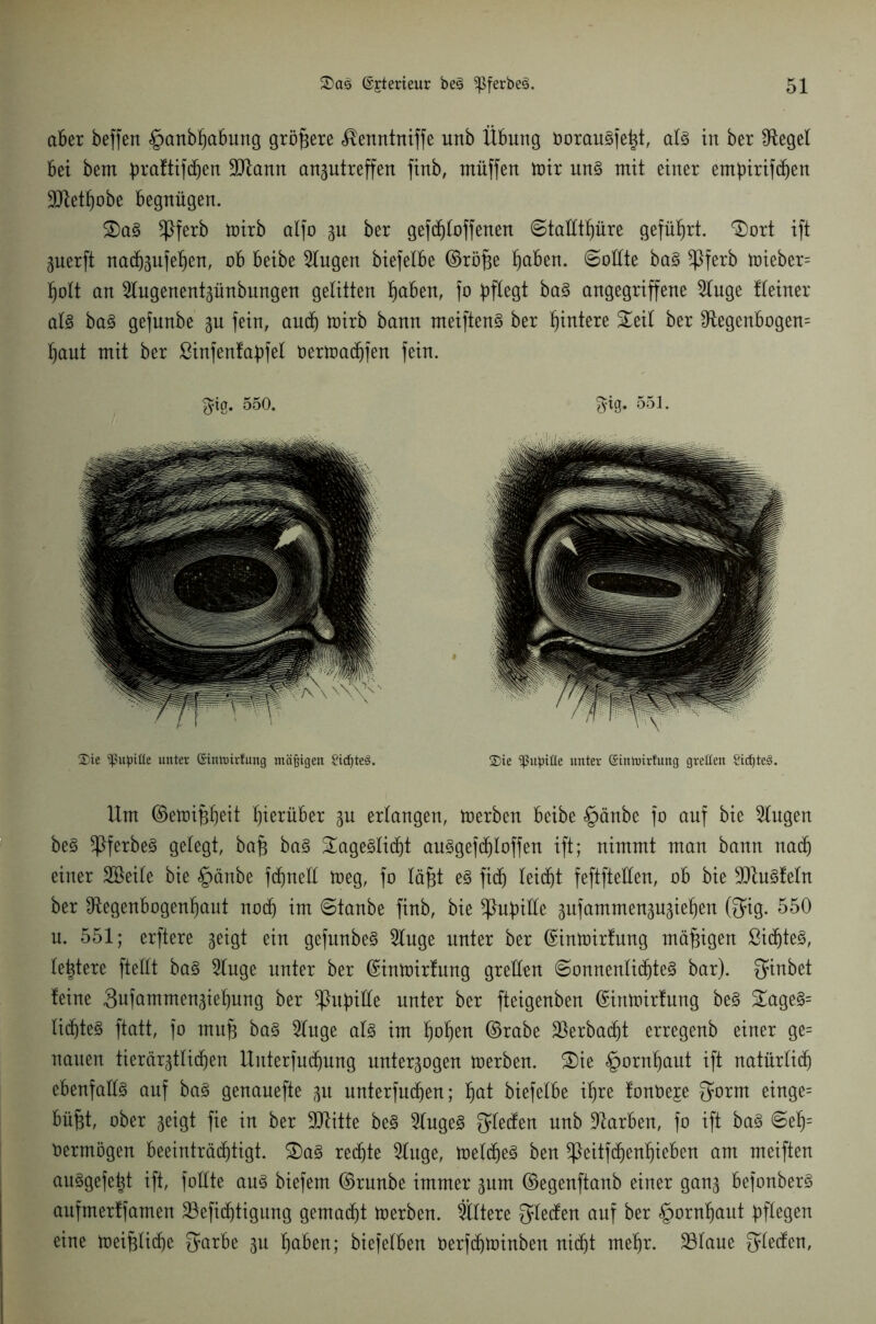 aber beffert §anbhabung größere ^enntniffe unö Übung üorauSfeht, als in ber IRegel bet bem praftifcben 9ttann anzutreffen finb, müffen toir uns mit einer empirifchen 3Jlet^obe begnügen. Das *ßferb toirb atfo zu ber gefc^lofferten Stallthüre geführt. Dort ift Zuerft nachzufefjen, ob beibe Gingen biefelbe ©röfie ^aben. «Sollte baS ^Pferb toieber= holt an Slugenentzünbungen gelitten hüben, fo pflegt baS angegriffene Singe fleiner als baS gefnnbe zu fein, and) toirb bann meiftenS ber pintere Deil ber Regenbogen^ haut mit ber ßinfenfapfel üertoachfen fein. $ig. 550. fjig. 551. 2)ie ''pupifle unter einmirfung mäßigen Sicktes. 2>ie ^ßupiüe unter (Sinmirtung grellen £id)te3. Um ©eloippeit hierüber zu erlangen, toerben beibe §änbe fo auf bie klugen beS ^PferbeS gelegt, bafj baS DageSlicht auSgefchloffen ift; nimmt man bann nach einer SBeile bie §änbe fctjnell toeg, fo läfjt es fid) leicht feftfteüen, ob bie SRuSfeln ber Regenbogenhaut noch im Stanbe finb, bie Pupille zufammenzuziehen föig. 550 n. 551; erftere geigt ein gefunbeS Singe unter ber ©intoirfung mäßigen ßichteS, ledere fteüt baS Singe unter ber ©intrirfung grellen Sonnenlichtes bar), fjirtbet feine Sufammenziehung ber Pupille unter ber fteigenben ©intoirfung beS DageS= lichtes ftatt, fo mufj baS Singe als im hohen ©rabe Rerbacht erregenb einer ge= nauen tierärgtli(f)en Uitterfudhung unterzogen toerben. Die §ornhaut ift natürlich ebenfalls auf baS genanefte zu unterfudjen; hat biefelbe ihre fonOeje SP^ut einge= büfct, ober zeigt fie in ber SRitte beS SlugeS fen nnb Rarben, fo ift baS Sefj= vermögen beeinträchtigt. Das rechte Sluge, toelcheS ben ^Peitfcfjenhieben am meiften anSgefe^t ift, füllte ans biefem ©runbe immer zum ©egenftanb einer ganz befonberS anfmerffamen 23eficf)tigung gemacht toerben. Ältere Qlecfen auf ber §ornf)aut pflegen eine toeifjliche QPrbe zu haben; biefelben Oerfchtoinben nicht mehr. S3laue Reefen,
