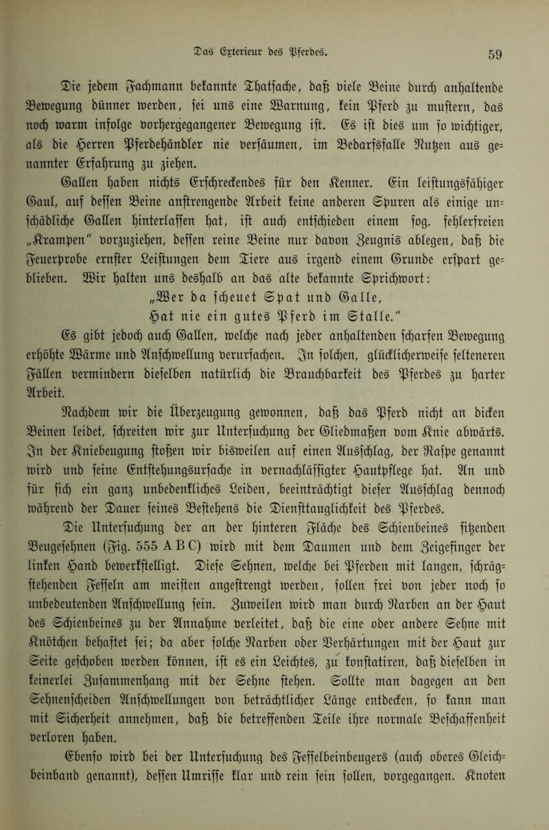 Sie jebem Facpntann befannte Spatfacpe, baf* oiete 23eine burcp anpaltenbe 2$emegung bünner derben, fei un§ eine Söarnung, fein $ferb zu muftern, ba§ nocp martn infolge Dorpergegangener 23emegung ift. ©3 ift bie§ um fo micptiger, al§ bie §erren ^ferbepänbler nie Oerfäumen, im 23ebarf§falte Iftupen au§ ge= nanntet ©rfaprung zu gieren. ©allen paben nicpt§ ©rfcprecfenbe§ für ben Kenner, ©in leiftunggfäpiger ©aul, auf beffen Söeine anftrengenbe Arbeit feine anberen Spuren al3 einige nn= ftf)äblid^e ©allen pinterlaffen pat, ift auch entfliehen einem fog. fehlerfreien „krampen Oorzuziepen, beffen reine 33eine nur batmn Zeugnis abtegen, bafj bie Feuerprobe ernfter Seiftungen bem Siere au3 irgenb einem ©runbe erfpart ge= blieben. 2öir galten un§ be§halb an ba§ alte befannte Spridpmort: „2öer ba freuet Spat unb ©alle, §at nie ein gutes ferb im Statte. ©3 gibt jebocp auch ©allen, metcpe nacp jeber anpattenben fcparfen Söemegung erhöhte SBärme nnb 2tnfcpmelfung Oerurfacpen. Fn fotcpen, glücflicpermeife felteneren Fällen oerminbern biefelben natürticp bie 23raucpbarfeit beS *Pferbe§ zu parter Arbeit. •ftacpbent mir bie Überzeugung gemonnen, baf} baS $ferb nicht an bicfen deinen leibet, fcpreiten mir zur Unterfucpung ber ©liebmafjen Oom $nie abmärtS. Fu ber ^niebeugung ftofjen mir bismeilen auf einen 2luSfcptag, ber 9tafpe genannt mirb nnb feine ©ntftepungSurfacpe in oernacptäffigter Hautpflege pat. 2tn nnb für fi(p ein ganz unbebentlicpeS Seiben, beeinträchtigt biefer 2tuSfcptag bennocp mäprenb ber Sauer feinet £8eftepen§ bie Sienfttauglicpfeit be§ *ßferbe§. Sie Unterfucpung ber an ber pinteren Flücpe be§ Sepienbeines fipenben SSeugefepnen (Fig* 555 ABC) mirb mit bem Raunten nnb bem Zeigefinger ber linfen §anb bemerffteüigt. Siefe Sepnen, metcpe bei ^ferben mit langen, fdjräg= ftepenben Feffeln am meiften angeftrengt merben, f ollen frei Oon jeber nocp fo unbebcutenben Stnfcpmeltung fein. Sumeiten mirb man burcp Farben an ber §aut beS Sepienbeines zu ber 2fnnapme verleitet, baf} bie eine ober anbere Sepne mit ^nötcpen bepaftet fei; ba aber folcpe Farben ober 25erpärtungen mit ber §aut zur Seite gefchoben merben fönnen, ift e§ ein SeicpteS, zn fonftatiren, baf} biefelben in feinerlei Zufammenpang mit ber Sepne fiepen. Sollte man bagegen an ben Sepnenfcpeiben 2fnfcpmellungen Oon beträchtlicher Sänge entbecfen, fo fann man mit Sicperpeit annepmen, ba§ bie betreffenben Seile ipre normale 23efcpaffenpeit Oertoren paben. ©benfo mirb bei ber Unterfucpung beS F4fe^ßinbenger§ (aucp oberes ©leicp= beinbanb genannt), beffen Umriffe ftar unb rein fein follen, Oorgegangen. knoten