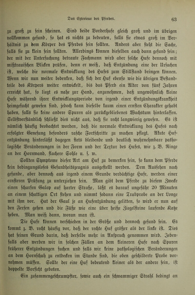 Zu grof3 3u fein fdjeinen. Sinb beibe 33orberhufe gleich grofi unb im übrigen ooüfommen gefunb, fo f)at eS nicf)t§ zu bebeuten, falls fie etmaS grofc im 33er= hältniS zu bem ^ör^er beS ^PferbeS fein foüten. 5lnberS aber ftef)t bie Sache, falls fie gu fleht fein foüten. 21üerbingS !önnen biefelben and) bann gefunb fein; ber mit ber ttnterfudjung betraute gadjmann mirb aber foldje §ufe bennod) mit mi&trauifchen 331i(fen prüfen, benn er meifj, bafc ©ntzünbung eine ber Urfadjen ift, meldhe bie normale ©ntmicflung beS §ufeS %um Stiüftanb bringen tönnen. Söenn mir nun meiter bebenfen, ba§ fidf) ber §uf ebenfo mie bie übrigen 33eftanb= teile beS ^örfjerS meiter entmicfelt, bis baS ^Pferb ein Filter Oon fünf Sauren erreicht hat, fo liegt eS nahe zur §anb, anzunehmen, ba§ ungemöhnlich tleine §ufe mäfjrenb ihrer ©ntmicflungSperiobe Oon irgenb einer ©ntzünbungSfranfheit heimgefudjt gemefen finb, jebodj fann biefelbe faum einen ernften (Sf)arafter gehabt haben, faüs fie teine anbere Spuren als zurücfgebliebeneS Sßadjstum f)tnterlaffen. SelbftOerftänblich fchliefü bieS nicht aus, baf} fie recf)t langmierig getoefen. ©S ift nämlich häufig beobachtet morben, baf; bie normale ©ntmicflung beS §ufeS nach erfolgter ©enefung befonberS rafche Qfortfdjritte zu machen pflegt. 91fute §uf= entpnbung füuterläfjt bagegen ftets bleibenbe unb beutlich mahrnehntbare patho= logifdje 33eränberungen in ber $orm unb ber 2ejtur beS §ufeS, toie 3. 33. CRinge an ber §ornmanb, flachere Sohle u. f. io. Sollten Shmptome biefer 2lrt am §uf zu bemerten fein, fo fann bem *Pferbe fein bebingungSlofeS ©efunbheitSzeugniS auSgefteüt merben. £)em 21uSfef)en nach gefunbe, aber bennoch aus irgenb einem ©runbe Oerbädjtige §ufe, merben einer ernfteren Prüfung zu unterziehen fein. -Ulan gibt bem ^Pferbe zu biefem 3o)ecfe einen fdjatfen ©alop auf harter Strafe, läfü eS barauf ungefähr 20 Minuten an einem fchattigen £>rt ftehen unb nimmt fobann eine Srabprobe an ber ßonge mit ihm Oor. §at ber ©aul je an §ufentzünbung gelitten, fo mirb er nun auf ben Qtrfen gehen, unb bie Qmjze mie eine über heifee 3ieQrtfteine laufenbe ^a^e heben. 9Jtan toeiB bann, moran man ift. S)ie §ufe fönnen Oerfdjieben in ber ©röjze unb bennodj gefunb fein. ©S fommt z* 33^ redf)t häufig Oor, bajz ber rechte §uf größer als ber linfe ift. £)ieS hat feinen ©runb barin, baf? berfelbe mehr in 21nfpruch genommen mirb. 3eben= faüs aber merben mir in folgen Quüen an bem fleineren §ufe nach Spuren früherer ©ntzünbungen fuc^en unb faüs mir feine pathologifchen 33eränberungen an bem £>ornfd)uf) Zu entbecfen im Stanbe finb, bie oben gefdjilberte ^Probe oor= nehmen müffen. Soüte ber eine §uf bebeutenb fleiner als ber anbere fein, ift hoppelte 33orfidjt geboten. ©in zufammengefchrumpfter, fomie auch ein fchmammiger Strahl bebingt an