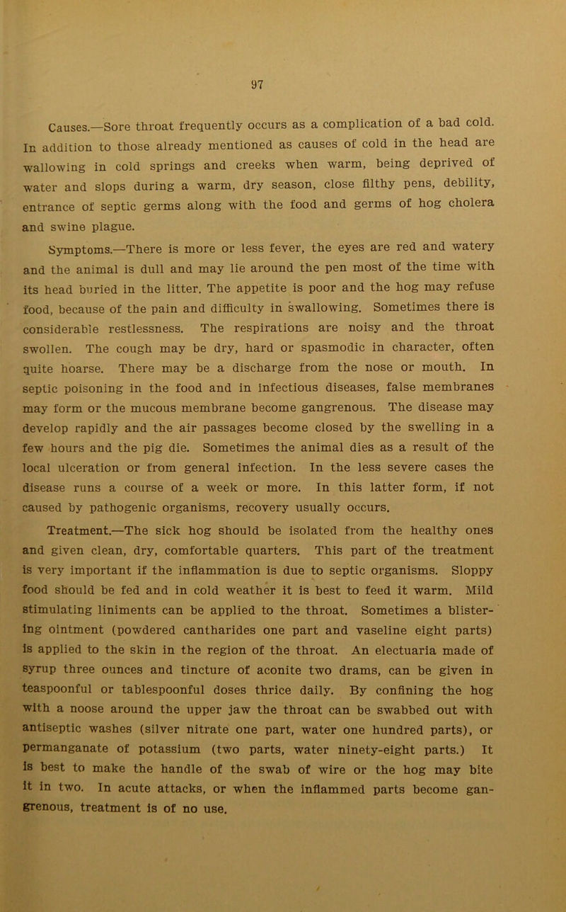 Causes.—Sore throat frequently occurs as a complication of a bad cold. In addition to those already mentioned as causes of cold in the head are wallowing in cold springs and creeks when warm, being deprived of water and slops during a warm, dry season, close filthy pens, debility, entrance of septic germs along with the food and germs of hog cholera and swine plague. Symptoms.—There is more or less fever, the eyes are red and watery and the animal is dull and may lie around the pen most of the time with its head buried in the litter. The appetite is poor and the hog may refuse food, because of the pain and difficulty in swallowing. Sometimes there is considerable restlessness. The respirations are noisy and the throat swollen. The cough may be dry, hard or spasmodic in character, often quite hoarse. There may be a discharge from the nose or mouth. In septic poisoning in the food and in infectious diseases, false membranes may form or the mucous membrane become gangrenous. The disease may develop rapidly and the air passages become closed by the swelling in a few hours and the pig die. Sometimes the animal dies as a result of the local ulceration or from general infection. In the less severe cases the disease runs a course of a week or more. In this latter form, if not caused by pathogenic organisms, recovery usually occurs. Treatment.—The sick hog should be isolated from the healthy ones and given clean, dry, comfortable quarters. This part of the treatment is very important if the inflammation is due to septic organisms. Sloppy * food should be fed and in cold weather it is best to feed it warm. Mild stimulating liniments can be applied to the throat. Sometimes a blister- ing ointment (powdered cantharides one part and vaseline eight parts) is applied to the skin in the region of the throat. An electuaria made of syrup three ounces and tincture of aconite two drams, can be given in teaspoonful or tablespoonful doses thrice daily. By confining the hog with a noose around the upper jaw the throat can be swabbed out with antiseptic washes (silver nitrate one part, water one hundred parts), or permanganate of potassium (two parts, water ninety-eight parts.) It is best to make the handle of the swab of wire or the hog may bite it in two. In acute attacks, or when the inflammed parts become gan- grenous, treatment is of no use.