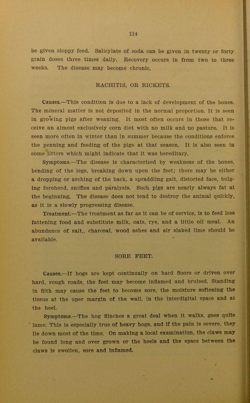 be given sloppy feed. Salicylate of soda can be given in twenty or forty grain doses three times daily. Recovery occurs in from two to three weeks. The disease may become chronic. RACHITIS, OR RICKETS. Causes.—This condition is due to a lack of development of the bones. The mineral matter is not deposited in the normal proportion. It is seen in growing pigs after weaning. It most often occurs in those that re- ceive an almost exclusively corn diet with no milk and no pasture. It is seen more often in winter than in summer because the conditions enforce the penning and feeding of the pigs at that season. It is also seen in some litters which might indicate that it was hereditary. Symptoms.—The disease is characterized by weakness of the bones, bending of the legs, breaking down upon the feet; there may be either a dropping or arching of the back, a spraddling gait, distorted face, bulg- ing forehead, sniffles and paralysis. Such pigs are nearly always fat at the beginning. The disease does not tend to destroy the animal quickly, as it is a slowly progressing disease. Treatment.—The treatment as far as it can be of service, is to feed less fattening food and substitute milk, oats, rye, and a little oil meal. An abundance of salt,, charcoal, wood ashes and air slaked lime should be available. SORE FEET. Causes.—If hogs are kept continually on hard floors or driven over hard, rough roads, the feet may become inflamed and bruised. Standing in filth may cause the feet to become sore, the moisture softening the tissue at the uper margin of the wall, in the interdigital space and at the heel. Symptoms.—The hog flinches a great deal when it walks, goes quite lame. This is especially true of heavy hogs, and if the pain is severe, they lie down most of the time. On making a local examination, the claws may be found long and over grown or the heels and the space between the claws is swollen, sore and inflamed. i