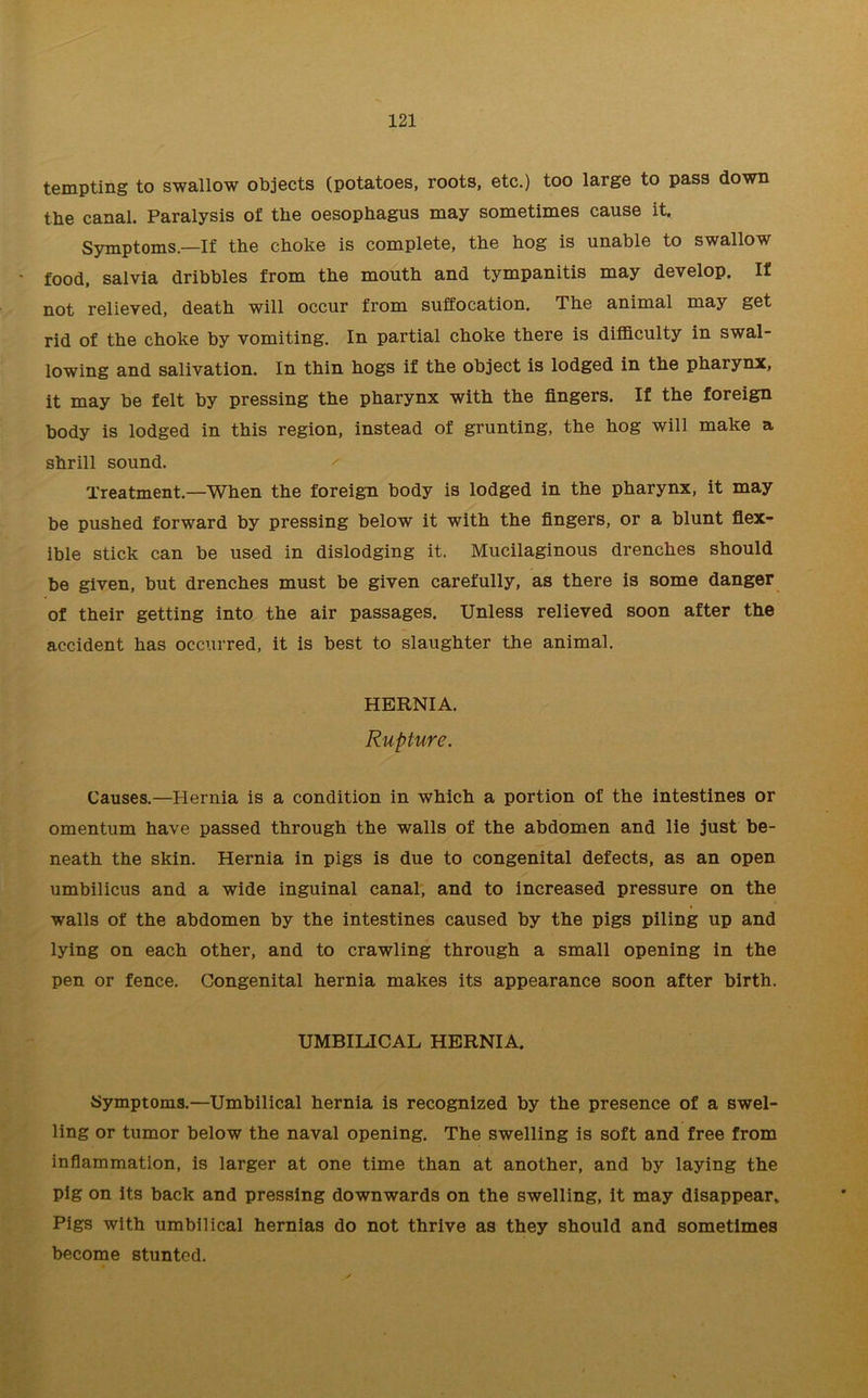 tempting to swallow objects (potatoes, roots, etc.) too large to pass down the canal. Paralysis of the oesophagus may sometimes cause it. Symptoms.—If the choke is complete, the hog is unable to swallow food, salvia dribbles from the mouth and tympanitis may develop. If not relieved, death will occur from suffocation. The animal may get rid of the choke by vomiting. In partial choke there is difficulty in swal- lowing and salivation. In thin hogs if the object is lodged in the pharynx, it may be felt by pressing the pharynx with the fingers. If the foreign body is lodged in this region, instead of grunting, the hog will make a shrill sound. Treatment.—When the foreign body is lodged in the pharynx, it may be pushed forward by pressing below it with the fingers, or a blunt flex- ible stick can be used in dislodging it. Mucilaginous drenches should be given, but drenches must be given carefully, as there is some danger of their getting into the air passages. Unless relieved soon after the accident has occurred, it is best to slaughter the animal. HERNIA. Rupture. Causes.—Hernia is a condition in which a portion of the intestines or omentum have passed through the walls of the abdomen and lie just be- neath the skin. Hernia in pigs is due to congenital defects, as an open umbilicus and a wide inguinal canal, and to increased pressure on the walls of the abdomen by the intestines caused by the pigs piling up and lying on each other, and to crawling through a small opening in the pen or fence. Congenital hernia makes its appearance soon after birth. UMBILICAL HERNIA. Symptoms.—Umbilical hernia is recognized by the presence of a swel- ling or tumor below the naval opening. The swelling is soft and free from inflammation, is larger at one time than at another, and by laying the pig on its back and pressing downwards on the swelling, it may disappear. Pigs with umbilical hernias do not thrive as they should and sometimes become stunted.