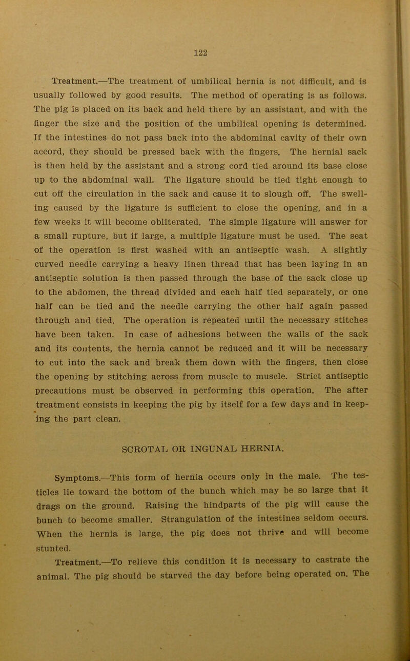 Treatment.—The treatment of umbilical hernia is not difficult, and is usually followed by good results. The method of operating is as follows. The pig is placed on its back and held there by an assistant, and with the finger the size and the position of the umbilical opening is determined. If the intestines do not pass back into the abdominal cavity of their own accord, they should be pressed back with the fingers. The hernial sack is then held by the assistant and a strong cord tied around its base close up to the abdominal wall. The ligature should be tied tight enough to cut off the circulation in the sack and cause it to slough off. The swell- ing caused by the ligature is sufficient to close the opening, and in a few weeks it will become obliterated. The simple ligature will answer for a small rupture, but if large, a multiple ligature must be used. The seat of the operation is first washed with an antiseptic wash. A slightly curved needle carrying a heavy linen thread that has been laying in an antiseptic solution is then passed through the base of the sack close up to the abdomen, the thread divided and each half tied separately, or one half can be tied and the needle carrying the other half again passed through and tied. The operation is repeated until the necessary stitches have been taken. In case of adhesions between the walls of the sack and its contents, the hernia cannot be reduced and it will be necessary to cut into the sack and break them down with the fingers, then close the opening by stitching across from muscle to muscle. Strict antiseptic precautions must be observed in performing this operation. The after treatment consists in keeping the pig by itself for a few days and in keep- ing the part clean. SCROTAL OR INGUNAL HERNIA. Symptoms.—This form of hernia occurs only in the male. The tes- ticles lie toward the bottom of the bunch which may be so large that it drags on the ground. Raising the hindparts of the pig will cause the bunch to become smaller. Strangulation of the intestines seldom occurs. When the hernia is large, the pig does not thrive and will become stunted. Treatment—To relieve this condition it is necessary to castrate the animal. The pig should be starved the day before being operated on. The