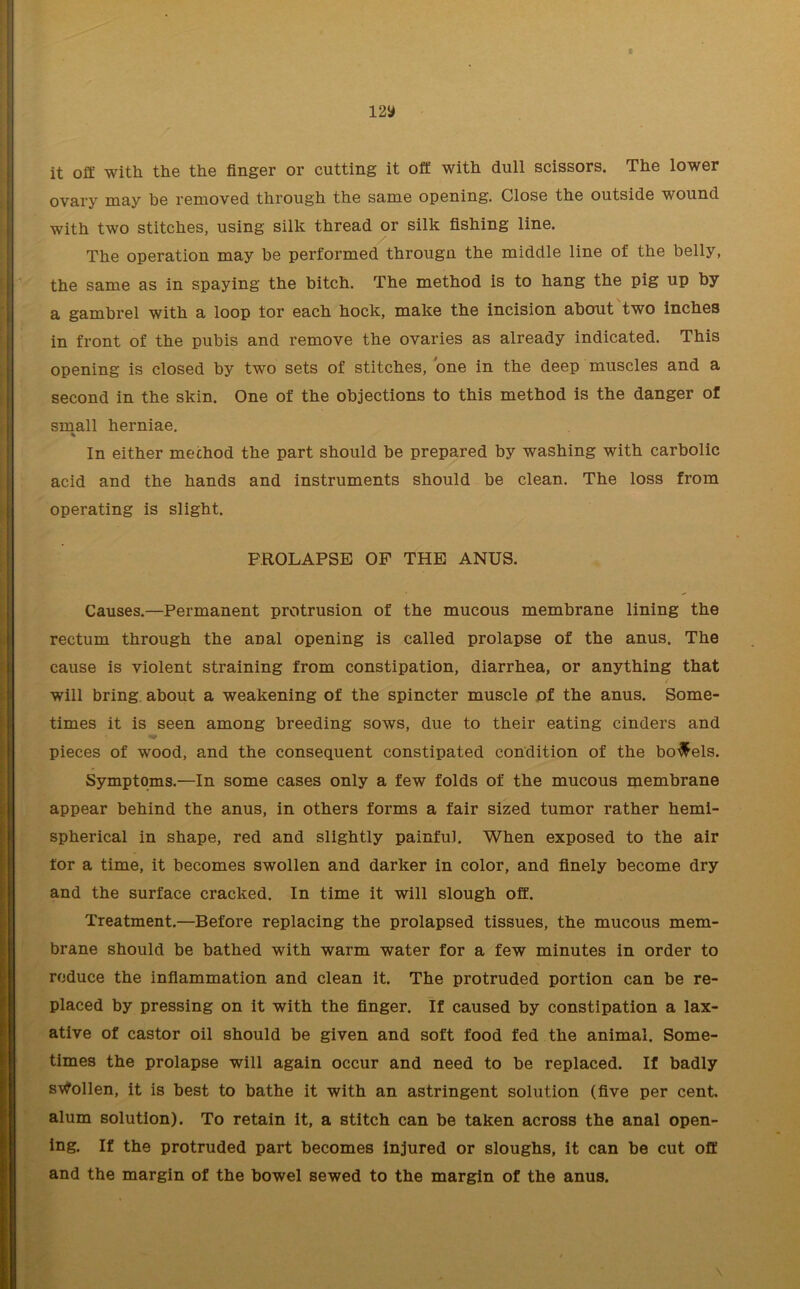 i2y t it off with the the finger or cutting it off with dull scissors. The lower ovary may be removed through the same opening. Close the outside wound with two stitches, using silk thread or silk fishing line. The operation may be performed througn the middle line of the belly, the same as in spaying the bitch. The method is to hang the pig up by a gambrel with a loop tor each hock, make the incision about two inches in front of the pubis and remove the ovaries as already indicated. This opening is closed by two sets of stitches, one in the deep muscles and a second in the skin. One of the objections to this method is the danger of small herniae. % In either mechod the part should be prepared by washing with carbolic acid and the hands and instruments should be clean. The loss from operating is slight. PROLAPSE OF THE ANUS. Causes.—Permanent protrusion of the mucous membrane lining the rectum through the aual opening is called prolapse of the anus. The cause is violent straining from constipation, diarrhea, or anything that will bring about a weakening of the spincter muscle of the anus. Some- times it is seen among breeding sows, due to their eating cinders and pieces of wood, and the consequent constipated condition of the bowels. Symptoms.—In some cases only a few folds of the mucous membrane appear behind the anus, in others forms a fair sized tumor rather hemi- spherical in shape, red and slightly painful. When exposed to the air for a time, it becomes swollen and darker in color, and finely become dry and the surface cracked. In time it will slough off. Treatment.—Before replacing the prolapsed tissues, the mucous mem- brane should be bathed with warm water for a few minutes in order to reduce the inflammation and clean it. The protruded portion can be re- placed by pressing on it with the finger. If caused by constipation a lax- ative of castor oil should be given and soft food fed the animal. Some- times the prolapse will again occur and need to be replaced. If badly swollen, it is best to bathe it with an astringent solution (five per cent, alum solution). To retain it, a stitch can be taken across the anal open- ing. If the protruded part becomes injured or sloughs, it can be cut off and the margin of the bowel sewed to the margin of the anus. \
