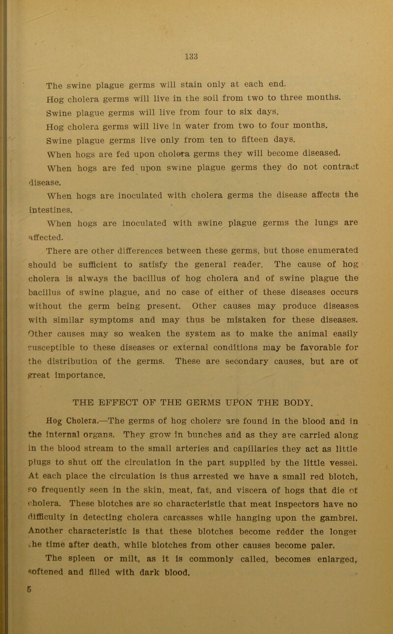 The swine plague germs will stain only at each end. Hog cholera germs will live in the soil from two to three months. Swine plague germs will live from four to six days. Hog cholera germs will live in water from two to four months. Swine plague germs live only from ten to fifteen days. When hogs are fed upon cholera germs they will become diseased. When hogs are fed upon swine plague germs they do not contract disease. When hogs are inoculated with cholera germs the disease affects the intestines. When hogs are inoculated with swine plague germs the lungs are affected. There are other differences between these germs, but those enumerated should be sufficient to satisfy the general reader. The cause of hog cholera is always the bacillus of hog cholera and of swine plague the bacillus of swine plague, and no case of either of these diseases occurs without the germ being present. Other causes may produce diseases with similar symptoms and may thus be mistaken for these diseases. Other causes may so weaken the system as to make the animal easily susceptible to these diseases or external conditions may be favorable for the distribution of the germs. These are secondary causes, but are of great importance. THE EFFECT OF THE GERMS UPON THE BODY. Hog Cholera.—The germs of hog cholera are found in the blood and in the internal organs. They grow in bunches and as they are carried along in the blood stream to the small arteries and capillaries they act as little plugs to shut off the circulation in the part supplied by the little vessel. At each place the circulation is thus arrested we have a small red blotch, so frequently seen in the skin, meat, fat, and viscera of hogs that die of cholera. These blotches are so characteristic that meat inspectors have no difficulty in detecting cholera carcasses while hanging upon the gambrel. Another characteristic is that these blotches become redder the longer ffie time after death, while blotches from other causes become paler. The spleen or milt, as it is commonly called, becomes enlarged, softened and filled with dark blood. 6