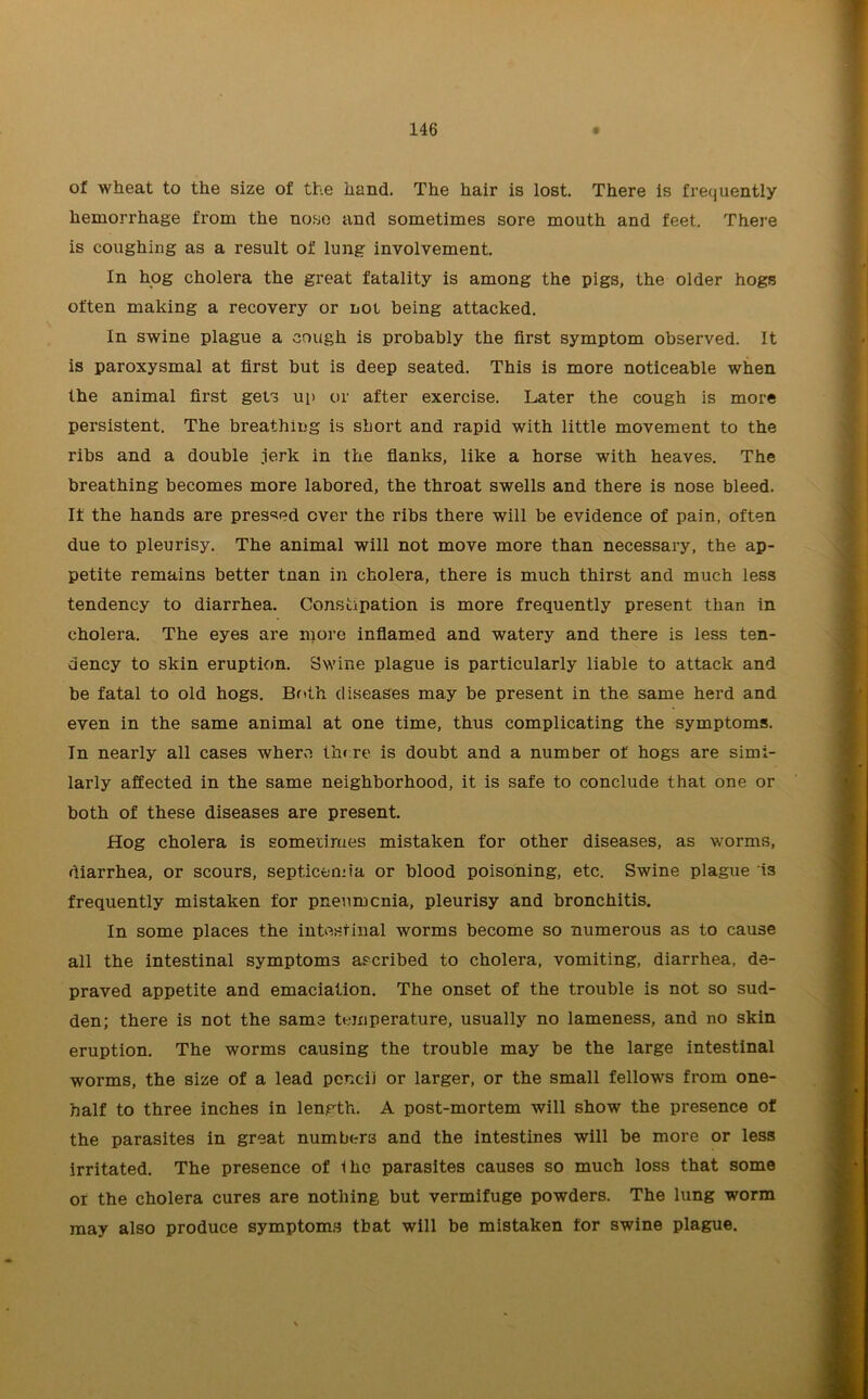 of wheat to the size of the hand. The hair is lost. There is frequently hemorrhage from the nose and sometimes sore mouth and feet. There is coughing as a result of lung involvement. In hog cholera the great fatality is among the pigs, the older hogs often making a recovery or not being attacked. In swine plague a cough is probably the first symptom observed. It is paroxysmal at first but is deep seated. This is more noticeable when the animal first gets up or after exercise. Later the cough is more persistent. The breathing is short and rapid with little movement to the ribs and a double jerk in the flanks, like a horse with heaves. The breathing becomes more labored, the throat swells and there is nose bleed. If the hands are pressed ever the ribs there will be evidence of pain, often due to pleurisy. The animal will not move more than necessary, the ap- petite remains better tnan in cholera, there is much thirst and much less tendency to diarrhea. Constipation is more frequently present than in cholera. The eyes are more inflamed and watery and there is less ten- dency to skin eruption. Swine plague is particularly liable to attack and be fatal to old hogs. Both diseases may be present in the same herd and even in the same animal at one time, thus complicating the symptoms. In nearly all cases where there is doubt and a number of hogs are simi- larly affected in the same neighborhood, it is safe to conclude that one or both of these diseases are present. Hog cholera is sometimes mistaken for other diseases, as worms, diarrhea, or scours, septicemia or blood poisoning, etc. Swine plague is frequently mistaken for pneumonia, pleurisy and bronchitis. In some places the intestinal worms become so numerous as to cause all the intestinal symptoms ascribed to cholera, vomiting, diarrhea, de- praved appetite and emaciation. The onset of the trouble is not so sud- den; there is not the same temperature, usually no lameness, and no skin eruption. The worms causing the trouble may be the large intestinal worms, the size of a lead pencil or larger, or the small fellows from one- half to three inches in length. A post-mortem will show the presence of the parasites in great numbers and the intestines will be more or less irritated. The presence of llie parasites causes so much loss that some or the cholera cures are nothing but vermifuge powders. The lung worm may also produce symptoms that will be mistaken for swine plague.