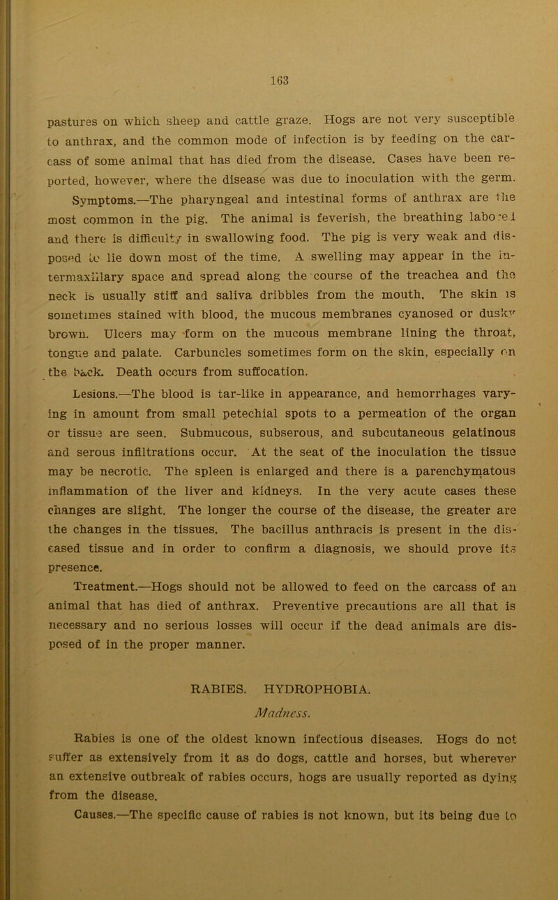 pastures on which sheep and cattle graze. Hogs are not very susceptible to anthrax, and the common mode of infection is by feeding on the car- cass of some animal that has died from the disease. Cases have been re- ported, however, where the disease was due to inoculation with the germ. Symptoms.—The pharyngeal and intestinal forms of anthrax are the most common in the pig. The animal is feverish, the breathing labo.'ei and there is difficulty in swallowing food. The pig is very weak and dis- posed le lie down most of the time. A swelling may appear in the in- termaxillary space and spread along the course of the treachea and the neck is usually stiff and saliva dribbles from the mouth. The skin is sometimes stained with blood, the mucous membranes cyanosed or dusky brown. Ulcers may -form on the mucous membrane lining the throat, tongue and palate. Carbuncles sometimes form on the skin, especially on the back. Death occurs from suffocation. Lesions.—The blood is tar-like in appearance, and hemorrhages vary- ing in amount from small petechial spots to a permeation of the organ or tissue are seen. Submucous, subserous, and subcutaneous gelatinous and serous infiltrations occur. At the seat of the inoculation the tissue may be necrotic. The spleen is enlarged and there is a parenchymatous inflammation of the liver and kidneys. In the very acute cases these changes are slight. The longer the course of the disease, the greater are ihe changes in the tissues. The bacillus anthracis is present in the dis- eased tissue and in order to confirm a diagnosis, we should prove its presence. Treatment.—Hogs should not be allowed to feed on the carcass of an animal that has died of anthrax. Preventive precautions are all that is necessary and no serious losses will occur if the dead animals are dis- posed of in the proper manner. \ RABIES. HYDROPHOBIA. Mad?iess. Rabies is one of the oldest known infectious diseases. Hogs do not puffer as extensively from it as do dogs, cattle and horses, but wherever an extensive outbreak of rabies occurs, hogs are usually reported as dying from the disease. Causes.—The specific cause of rabies is not known, but its being due to