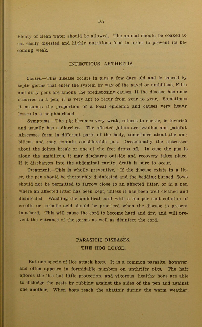 Plenty of clean water should be allowed. The animal should be coaxed to eat easily digested and highly nutritious food in order to prevent its be- coming weak* INFECTIOUS ARTHRITIS. i Causes.—This disease occurs in pigs a few days old and is caused by septic germs that enter the system by way of the navel or umbilicus. Filth and dirty pens are among the predisposing causes. If the disease has once occurred in a pen, it is very apt to recur from year to year. Sometimes it assumes the proportion of a local epidemic and causes very heavy losses in a neighborhood. Symptoms.—The pig becomes very weak, refuses to suckle, is feverish and usually has a diarrhea. The affected joints are swollen and painful. Abscesses form in different parts of the body, sometimes about .the um- bilicus and may contain considerable pus. Occasionally the abscesses about the joints break or one of the feet drops off. In case the pus Is along the umbilicus, it may discharge outside and recovery takes place. If it discharges into the abdominal cavity, death is sure to occur. Treatment.—This is wholly preventive. If the disease exists in a lit- er, the pen should be thoroughly disinfected and the bedding burned. Sows should not be permitted to farrow close to an affected litter, or in a pen where an affected litter has been kept, unless it has been well cleaned and disinfected. Washing the umbilical cord with a ten per cent solution of creolin or carbolic acid should be practiced when the disease is present in a herd. This will cause the cord to become hard and dry, and will pre- vent the entrance of the germs as well as disinfect the cord. PARASITIC DISEASES. THE HOG LOUSE. But one specie of lice attack hogs. It is a common parasite, however, and often appears in formidable numbers on unthrifty pigs. The hair affords the lice but little protection, and vigorous, healthy hogs are able to dislodge the pests by rubbing against the sides of the pen and against one another. When hogs reach the abattoir during the warm weather,