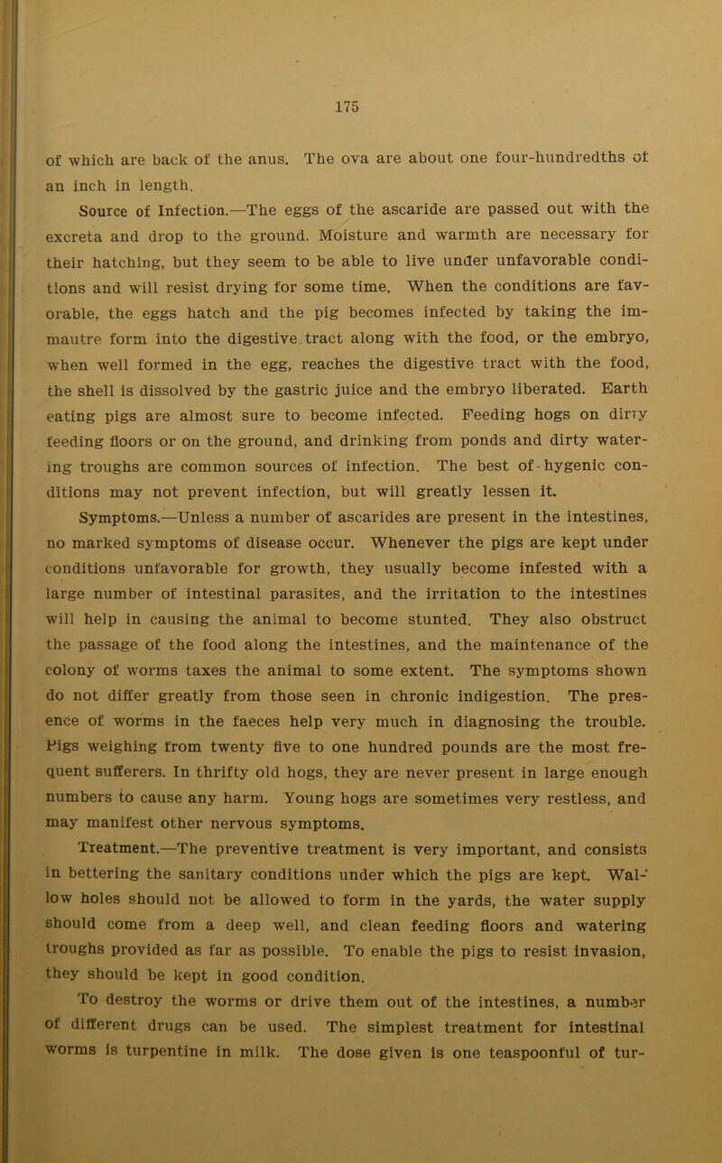 of which are back of the anus. The ova are about one four-hundredths of an inch in length. Source of Infection—The eggs of the ascaride are passed out with the excreta and drop to the ground. Moisture and warmth are necessary for their hatching, hut they seem to be able to live under unfavorable condi- tions and will resist drying for some time. When the conditions are fav- orable, the eggs hatch and the pig becomes infected by taking the im- mautre form into the digestive tract along with the food, or the embryo, when well formed in the egg, reaches the digestive tract with the food, the shell is dissolved by the gastric juice and the embryo liberated. Barth eating pigs are almost sure to become infected. Feeding hogs on dirry feeding floors or on the ground, and drinking from ponds and dirty water- ing troughs are common sources of infection. The best of-hygenic con- ditions may not prevent infection, but will greatly lessen it. Symptoms.—Unless a number of ascarides are present in the intestines, no marked symptoms of disease occur. Whenever the pigs are kept under conditions unfavorable for growth, they usually become infested with a large number of intestinal parasites, and the irritation to the intestines will help in causing the animal to become stunted. They also obstruct the passage of the food along the intestines, and the maintenance of the colony of worms taxes the animal to some extent. The symptoms shown do not differ greatly from those seen in chronic indigestion. The pres- ence of worms in the faeces help very much in diagnosing the trouble. Pigs weighing from twenty five to one hundred pounds are the most fre- quent sufferers. In thrifty old hogs, they are never present in large enough numbers to cause any harm. Young hogs are sometimes very restless, and may manifest other nervous symptoms. Treatment.—The preventive treatment is very important, and consists in bettering the sanitary conditions under which the pigs are kept. Wal- low holes should not be allowed to form in the yards, the water supply should come from a deep well, and clean feeding floors and watering troughs provided as far as possible. To enable the pigs to resist invasion, they should be kept in good condition. To destroy the worms or drive them out of the intestines, a number of different drugs can be used. The simplest treatment for intestinal worms is turpentine in milk. The dose given is one teaspoonful of tur-