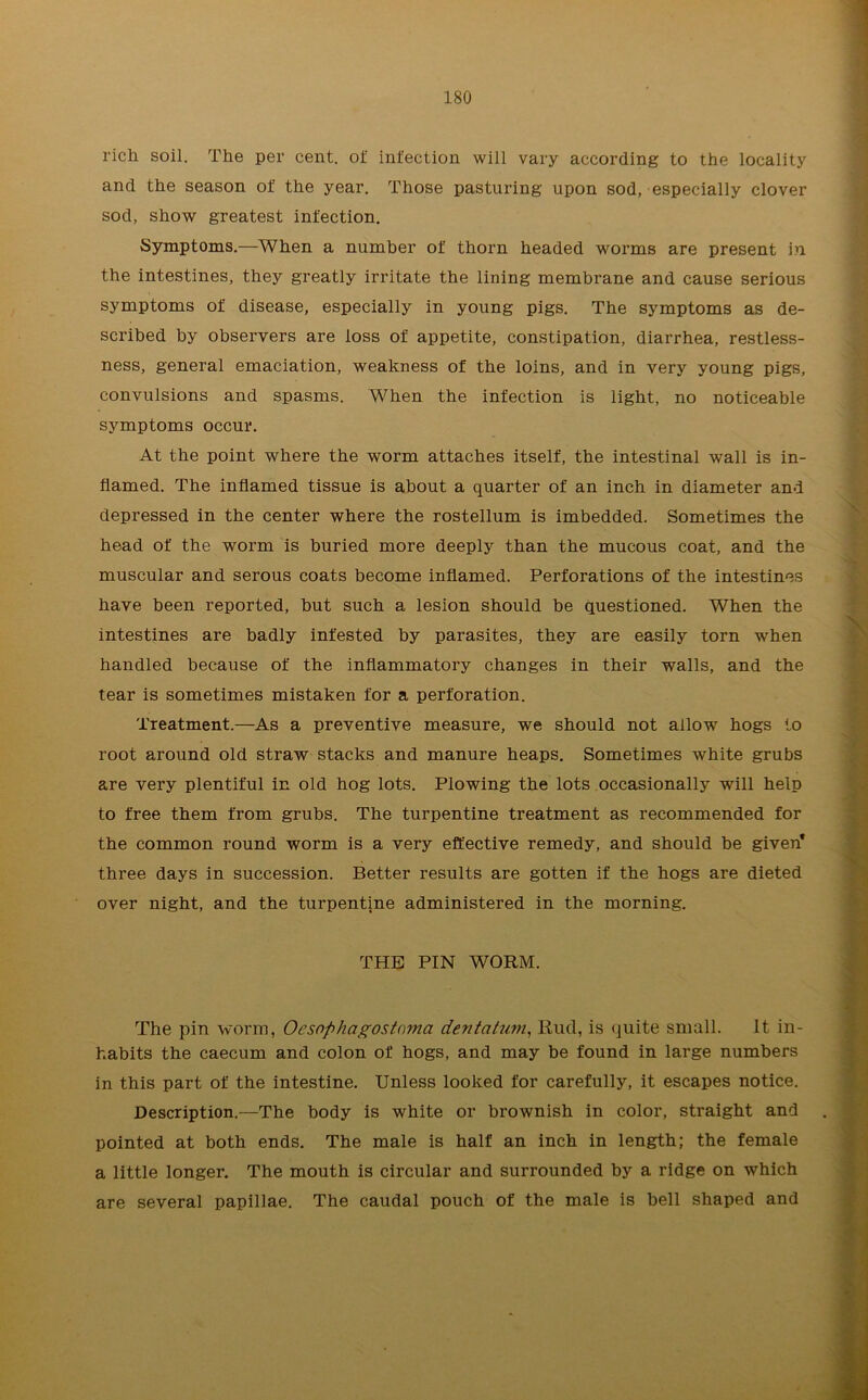 rich soil. The per cent, of infection will vary according to the locality and the season of the year. Those pasturing upon sod, especially clover sod, show greatest infection. Symptoms.—When a number of thorn headed worms are present in. the intestines, they greatly irritate the lining membrane and cause serious symptoms of disease, especially in young pigs. The symptoms as de- scribed by observers are loss of appetite, constipation, diarrhea, restless- ness, general emaciation, weakness of the loins, and in very young pigs, convulsions and spasms. When the infection is light, no noticeable symptoms occur. At the point where the worm attaches itself, the intestinal wall is in- flamed. The inflamed tissue is about a quarter of an inch in diameter and depressed in the center where the rostellum is imbedded. Sometimes the head of the worm is buried more deeply than the mucous coat, and the muscular and serous coats become inflamed. Perforations of the intestines have been reported, but such a lesion should be questioned. When the intestines are badly infested by parasites, they are easily torn when handled because of the inflammatory changes in their walls, and the tear is sometimes mistaken for a perforation. Treatment.—As a preventive measure, we should not allow hogs to root around old straw stacks and manure heaps. Sometimes white grubs are very plentiful in old hog lots. Plowing the lots occasionally will help to free them from grubs. The turpentine treatment as recommended for the common round worm is a very effective remedy, and should be given* three days in succession. Better results are gotten if the hogs are dieted over night, and the turpentine administered in the morning. THE PIN WORM. The pin worm, Ocsophagostamci dentatum, Rud, is quite small. It in- habits the caecum and colon of hogs, and may be found in large numbers in this part of the intestine. Unless looked for carefully, it escapes notice. Description.—The body is white or brownish in color, straight and pointed at both ends. The male is half an inch in length; the female a little longer. The mouth is circular and surrounded by a ridge on which are several papillae. The caudal pouch of the male is bell shaped and