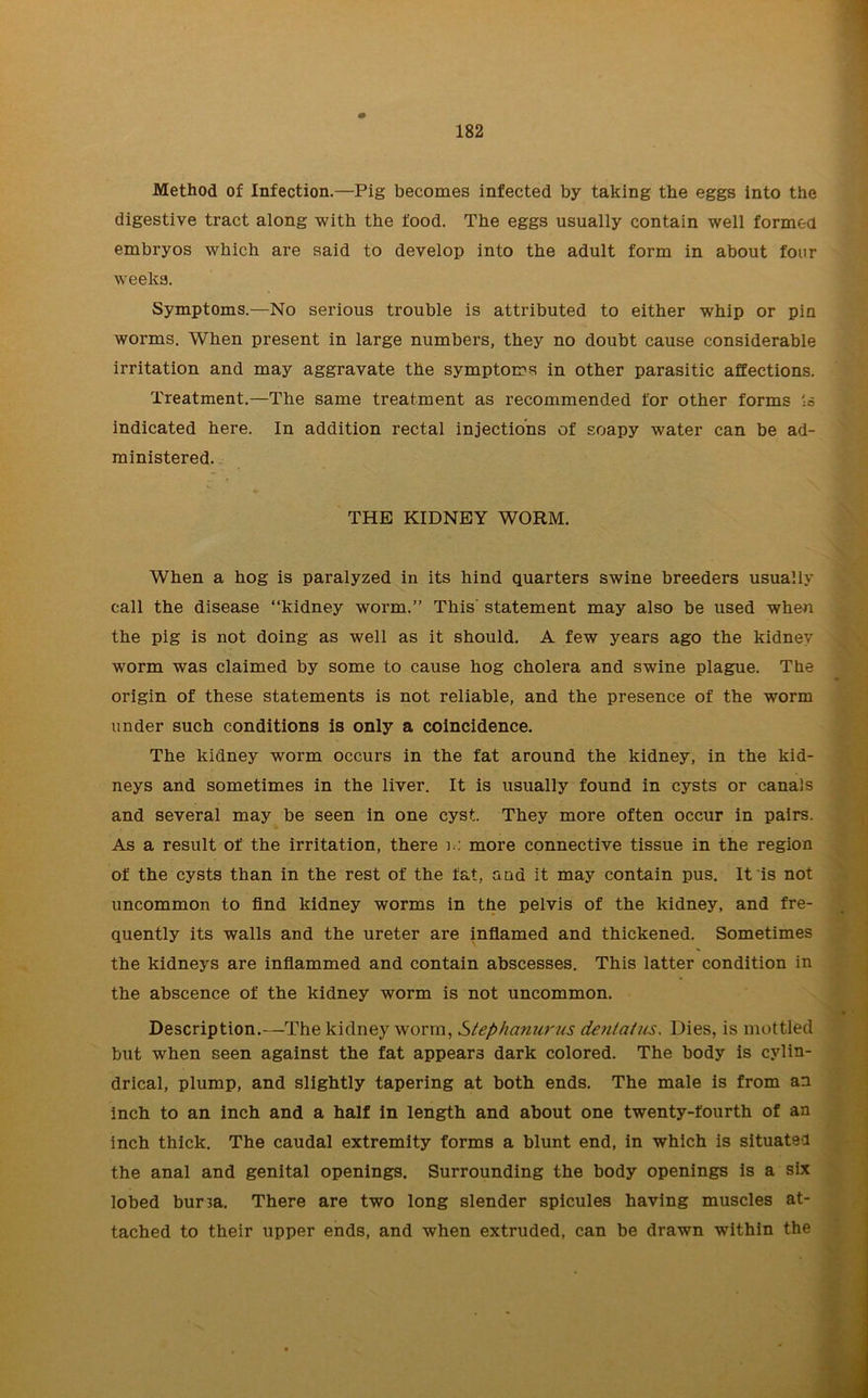 Method of Infection.—Pig becomes infected by taking the eggs into the digestive tract along with the food. The eggs usually contain well formed embryos which are said to develop into the adult form in about four weeks. Symptoms.—No serious trouble is attributed to either whip or pin worms. When present in large numbers, they no doubt cause considerable irritation and may aggravate the symptoms in other parasitic affections. Treatment.—The same treatment as recommended for other forms is indicated here. In addition rectal injections of soapy water can be ad- ministered. V. ♦ THE KIDNEY WORM. When a hog is paralyzed in its hind quarters swine breeders usually call the disease “kidney worm.” This' statement may also be used when the pig is not doing as well as it should. A few years ago the kidney worm was claimed by some to cause hog cholera and swine plague. The origin of these statements is not reliable, and the presence of the worm under such conditions is only a coincidence. The kidney worm occurs in the fat around the kidney, in the kid- neys and sometimes in the liver. It is usually found in cysts or canals and several may be seen in one cyst They more often occur in pairs. As a result of the irritation, there more connective tissue in the region of the cysts than in the rest of the fat, and it may contain pus. It is not uncommon to find kidney worms in the pelvis of the kidney, and fre- quently its walls and the ureter are inflamed and thickened. Sometimes the kidneys are inflammed and contain abscesses. This latter condition in the abscence of the kidney worm is not uncommon. Description.—The kidney worm, Stephanurus dentatus. Dies, is mottled but when seen against the fat appears dark colored. The body is cylin- drical, plump, and slightly tapering at both ends. The male is from an inch to an inch and a half in length and about one twenty-fourth of an inch thick. The caudal extremity forms a blunt end, in which is situated the anal and genital openings. Surrounding the body openings is a six lobed bur m. There are two long slender spicules having muscles at- tached to their upper ends, and when extruded, can be drawn within the