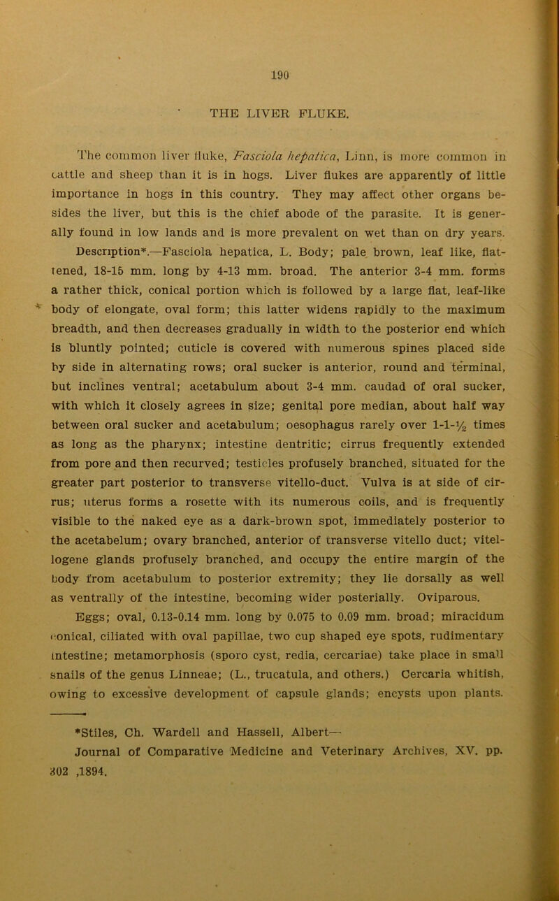 THE LIVER FLUKE. The common liver fluke, Fasciola hepatica, Linn, is more common in cattle and sheep than it is in hogs. Liver flukes are apparently of little importance in hogs in this country. They may affect other organs be- sides the liver, but this is the chief abode of the parasite. It is gener- ally found in low lands and is more prevalent on wet than on dry years. Description*.—Fasciola hepatica, L. Body; pale brown, leaf like, flat- tened, 18-15 mm. long by 4-13 mm. broad. The anterior 3-4 mm. forms a rather thick, conical portion which is followed by a large flat, leaf-like * body of elongate, oval form; this latter widens rapidly to the maximum breadth, and then decreases gradually in width to the posterior end which is bluntly pointed; cuticle is covered with numerous spines placed side by side in alternating rows; oral sucker is anterior, round and terminal, but inclines ventral; acetabulum about 3-4 mm. caudad of oral sucker, with which it closely agrees in size; genital pore median, about half way between oral sucker and acetabulum; oesophagus rarely over 1-1-% times as long as the pharynx; intestine dentritic; cirrus frequently extended from pore and then recurved; testicles profusely branched, situated for the greater part posterior to transverse vitello-duct. Vulva is at side of cir- rus; uterus forms a rosette with its numerous coils, and is frequently visible to the naked eye as a dark-brown spot, immediately posterior to the acetabelum; ovary branched, anterior of transverse vitello duct; vitel- logene glands profusely branched, and occupy the entire margin of the body from acetabulum to posterior extremity; they lie dorsally as well as ventrally of the intestine, becoming wider posterially. Oviparous. Eggs; oval, 0.13-0.14 mm. long by 0.075 to 0.09 mm. broad; miracidum conical, ciliated with oval papillae, two cup shaped eye spots, rudimentary intestine; metamorphosis (sporo cyst, redia, cercariae) take place in small snails of the genus Linneae; (L., trucatula, and others.) Cercaria whitish, owing to excessive development of capsule glands; encysts upon plants. ♦Stiles, Ch. Wardell and Hassell, Albert— Journal of Comparative Medicine and Veterinary Archives, XV. pp. 302 ,1894.